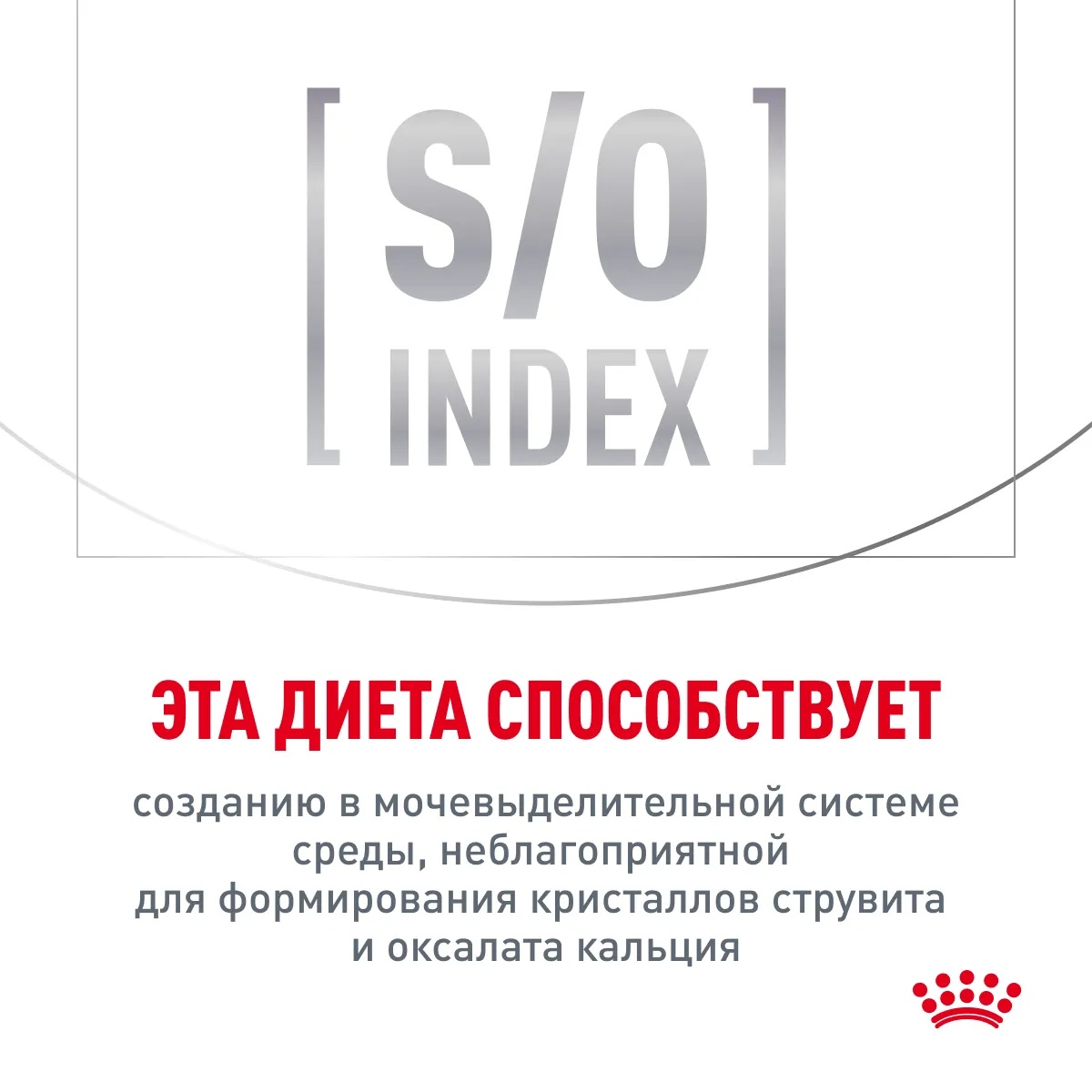 Royal Canin Hypoallergenic для кошек 9