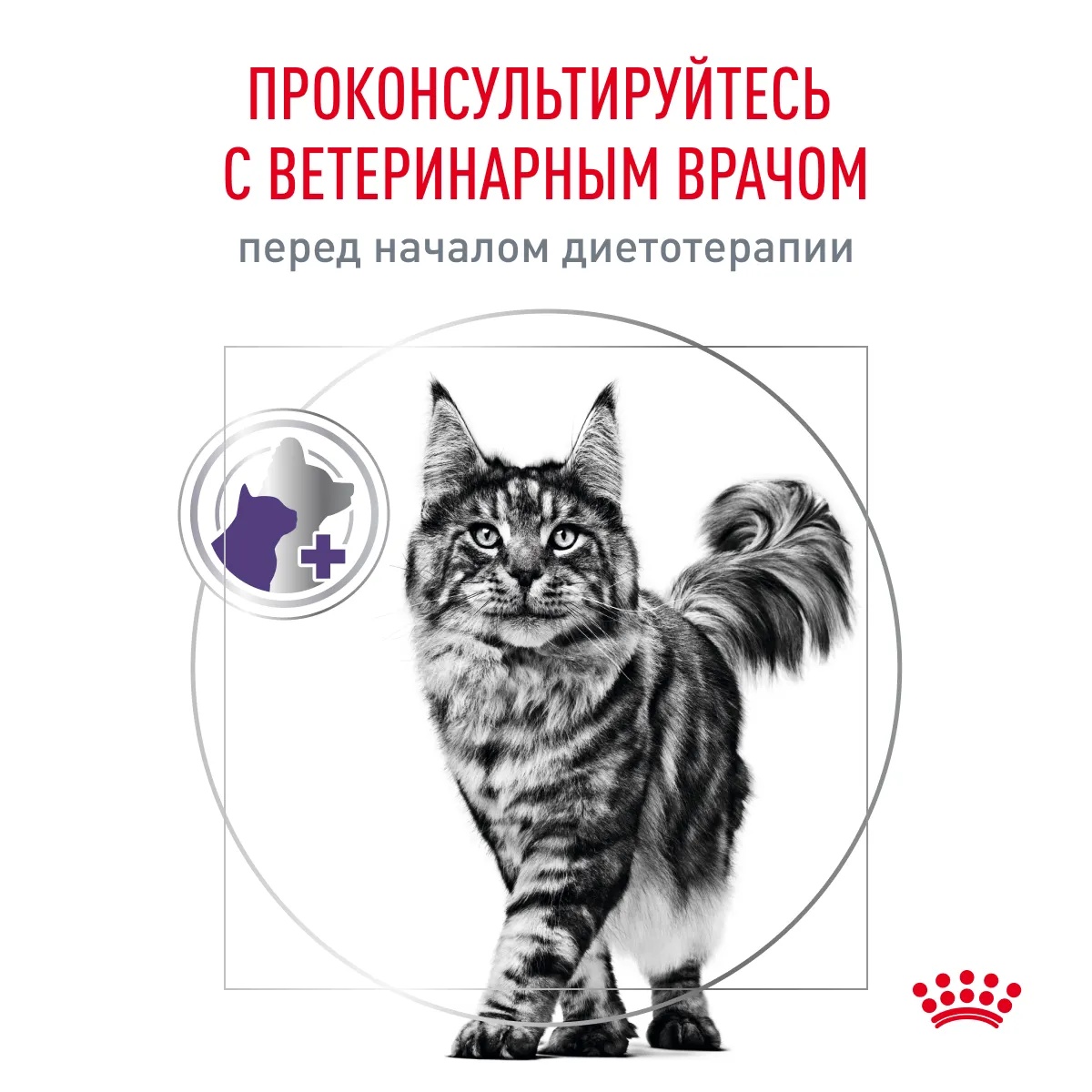 Royal Canin Neutered Satiety Balance для кошек 11