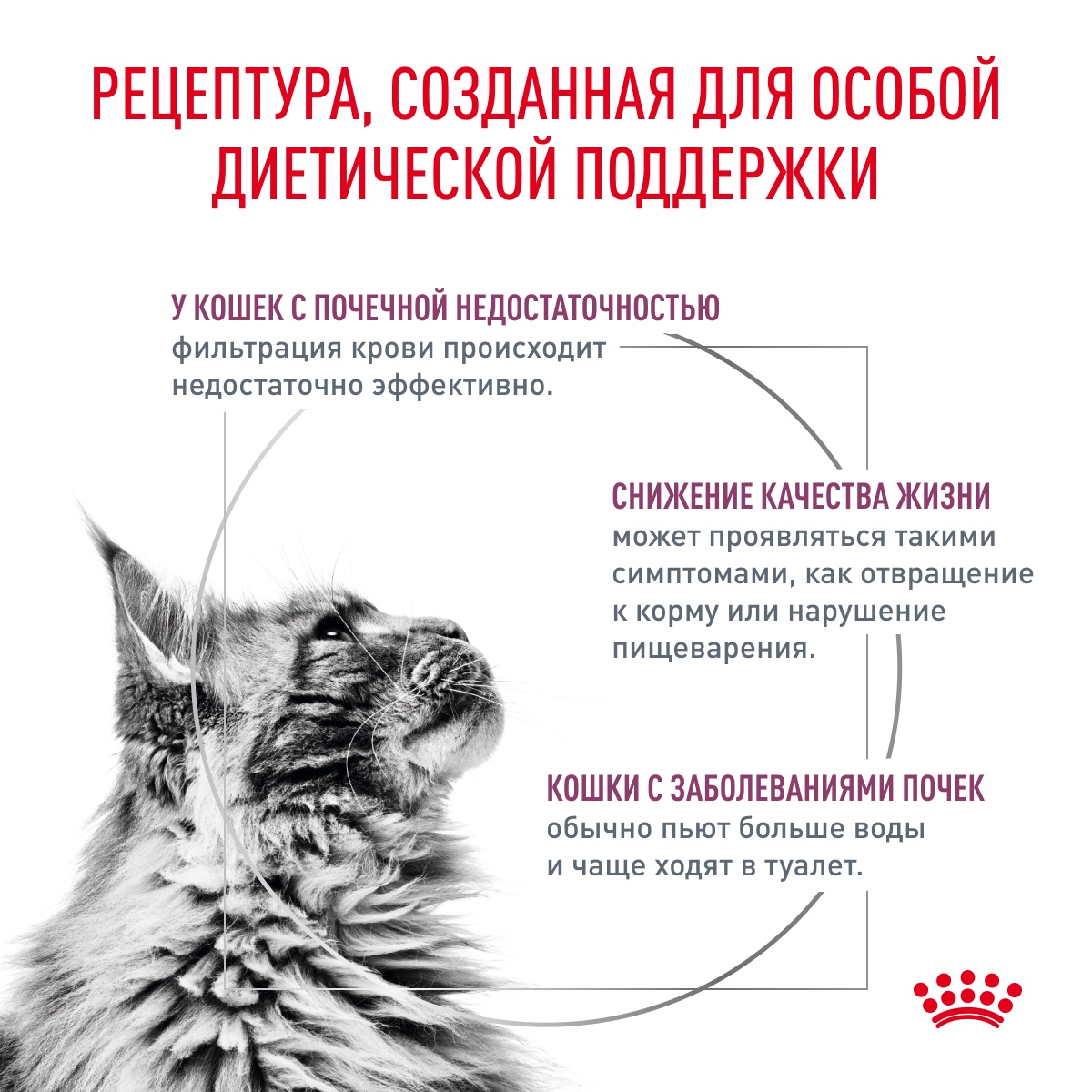 Royal Canin Renal для кошек 3