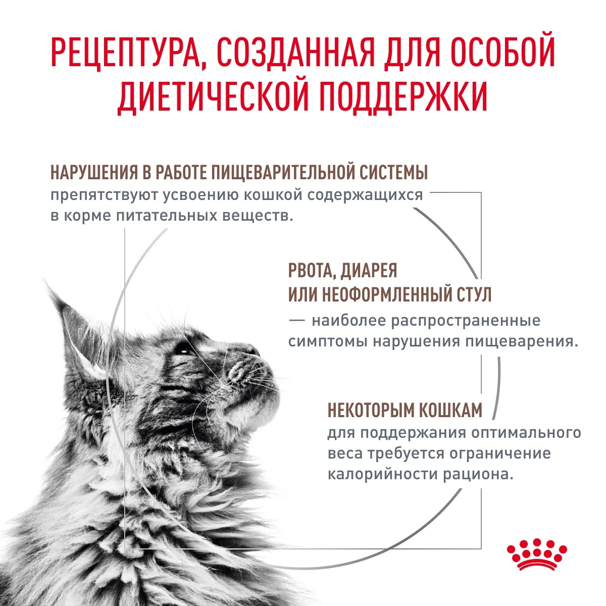 Royal Canin Gastrointestinal Moderate Calorie для кошек 3