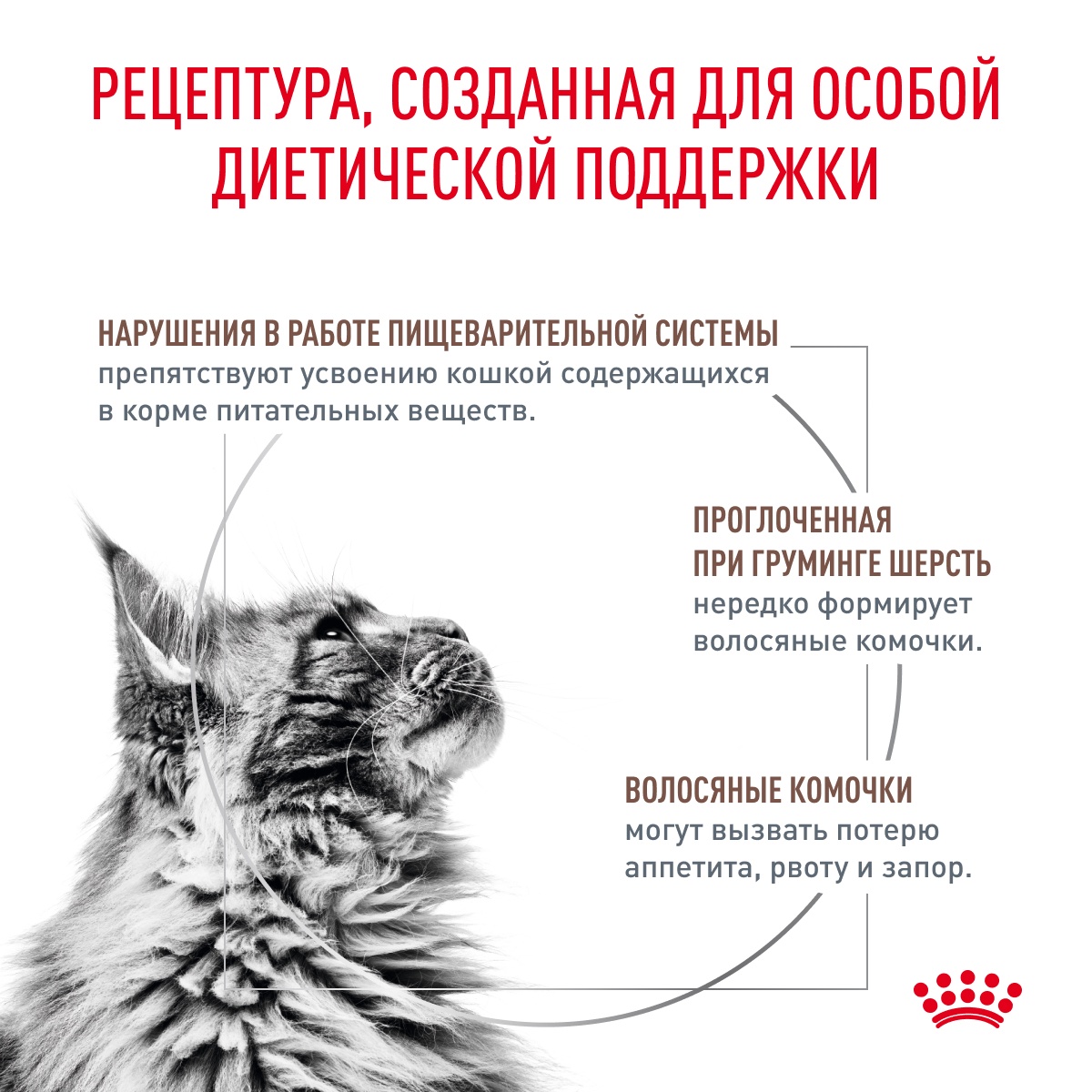 Royal Canin Gastrointestinal Hairball для кошек 3