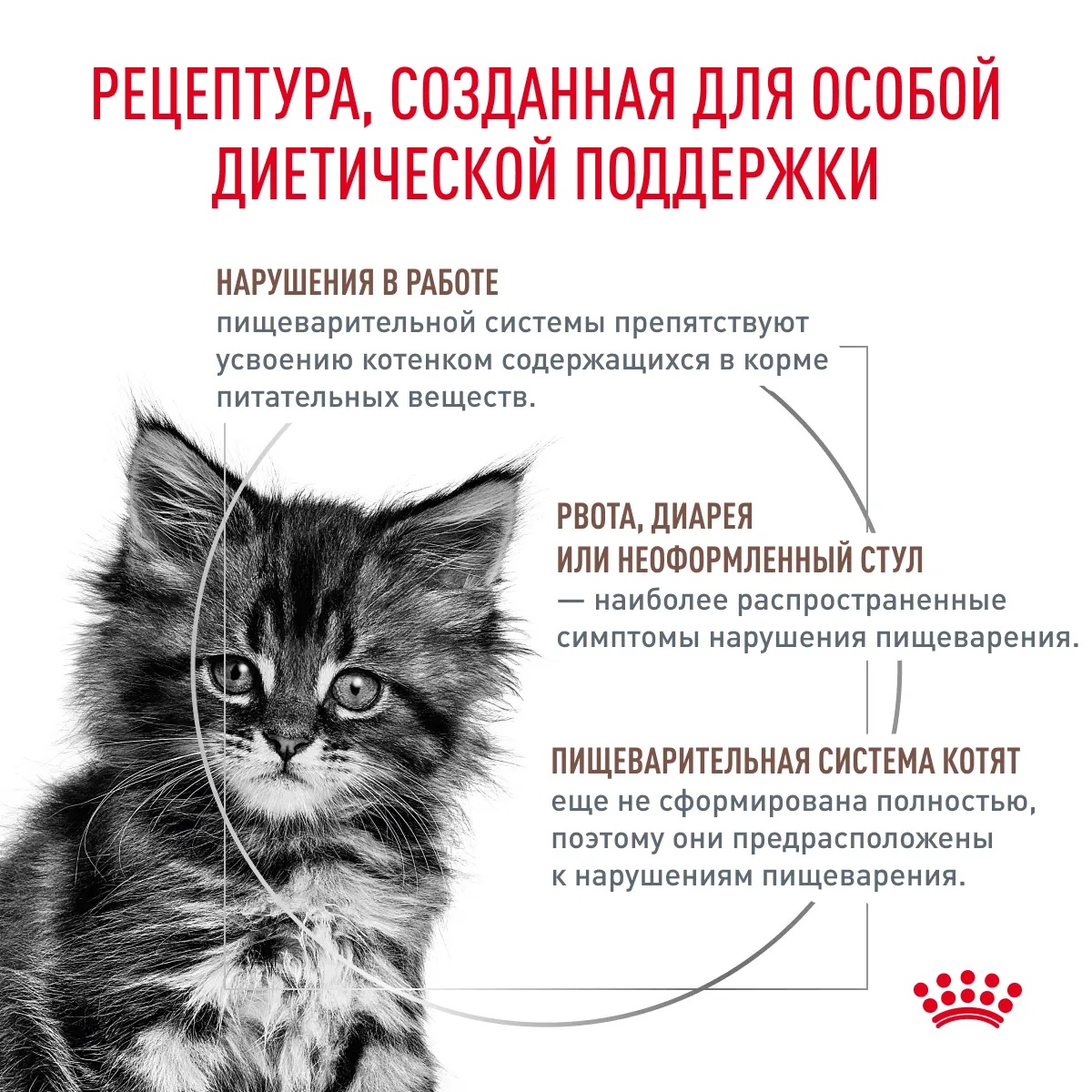 Royal Canin Gastrointestinal Kitten для котят 3