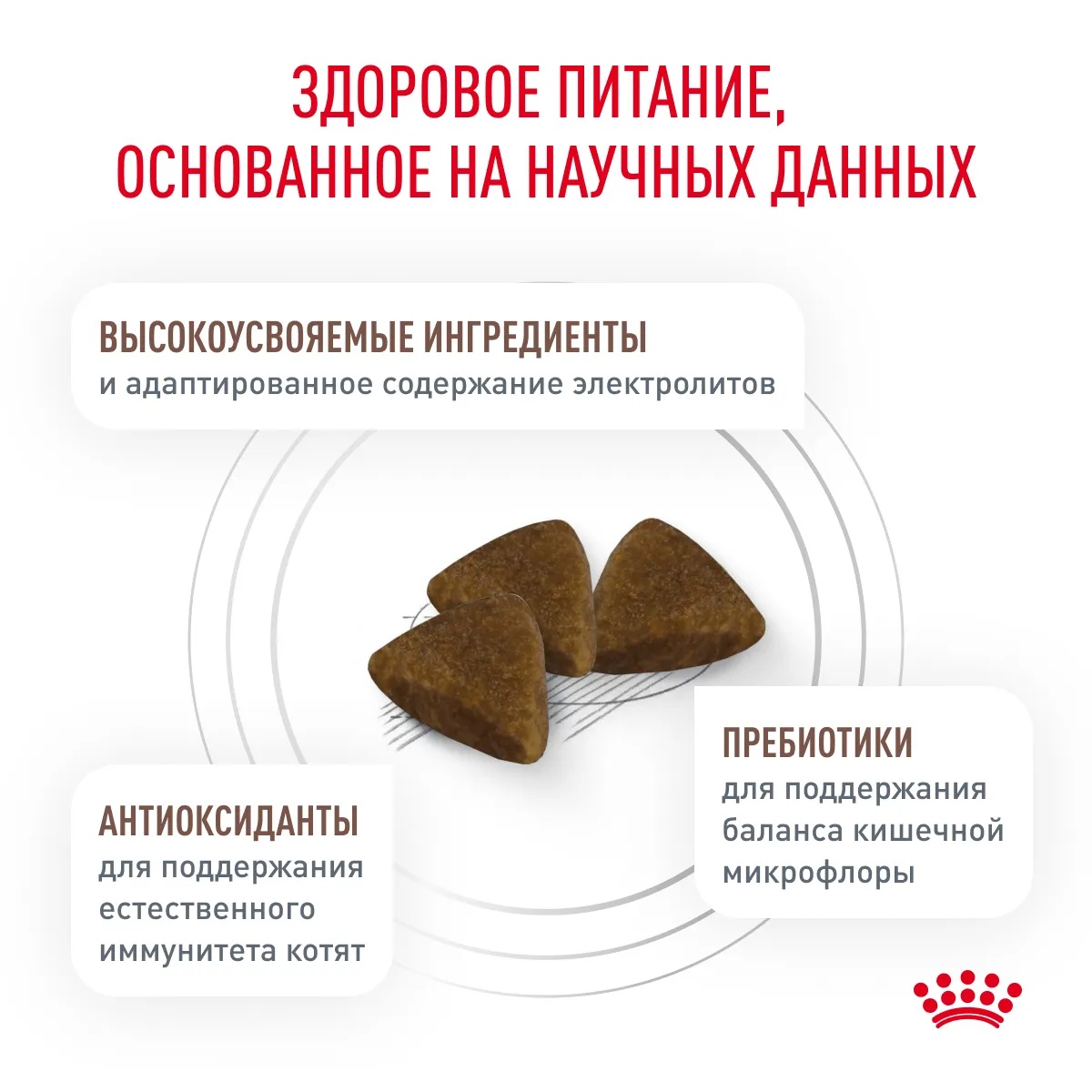 Royal Canin Gastrointestinal Kitten для котят 5