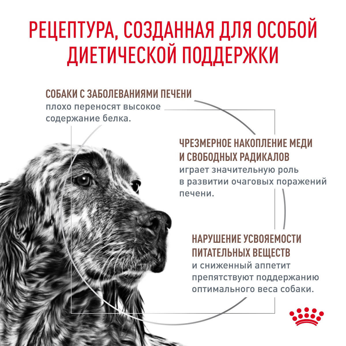 Royal Canin Hepatic для собак 3