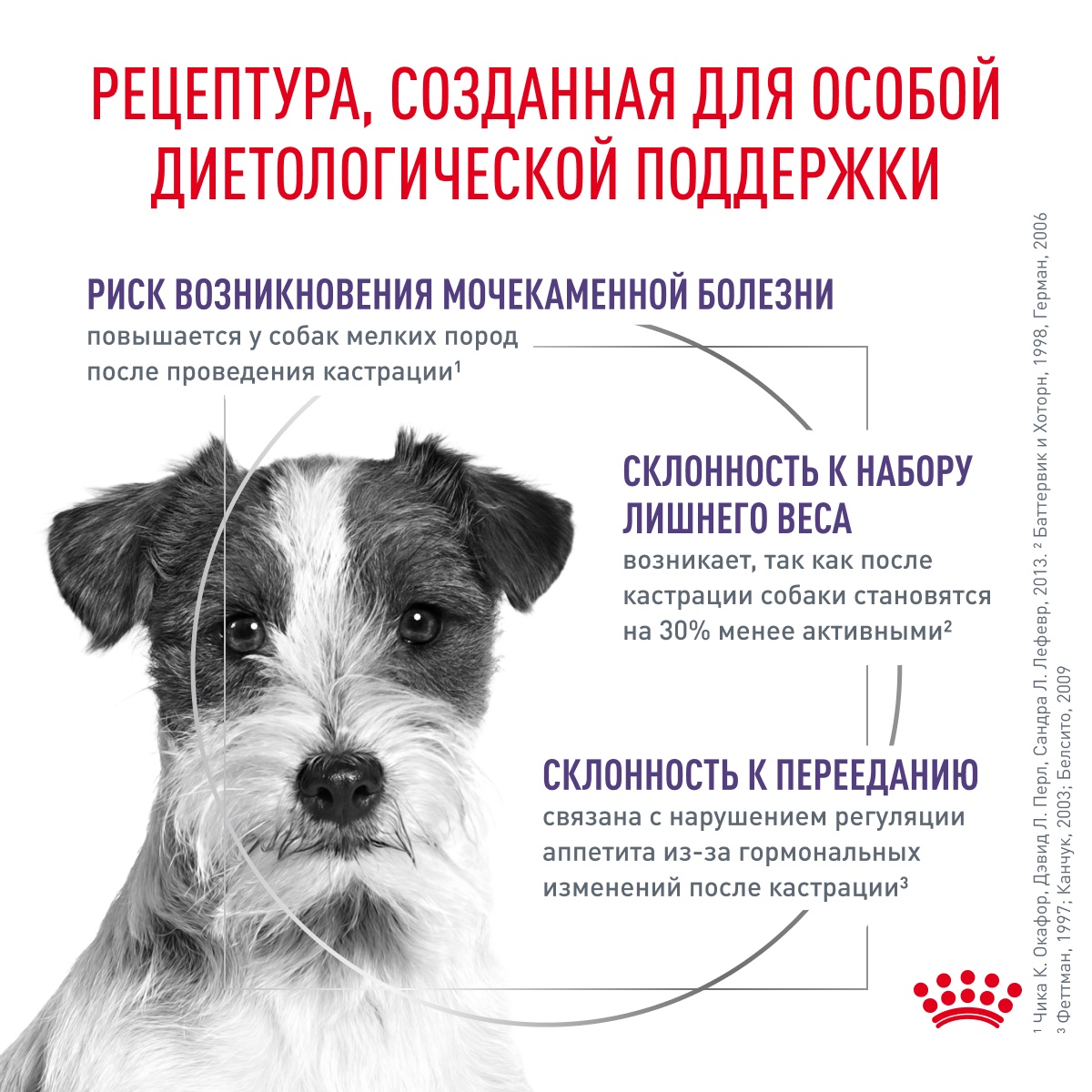 Royal Canin Neutered Adult Small Dog under 10 kg для собак 3