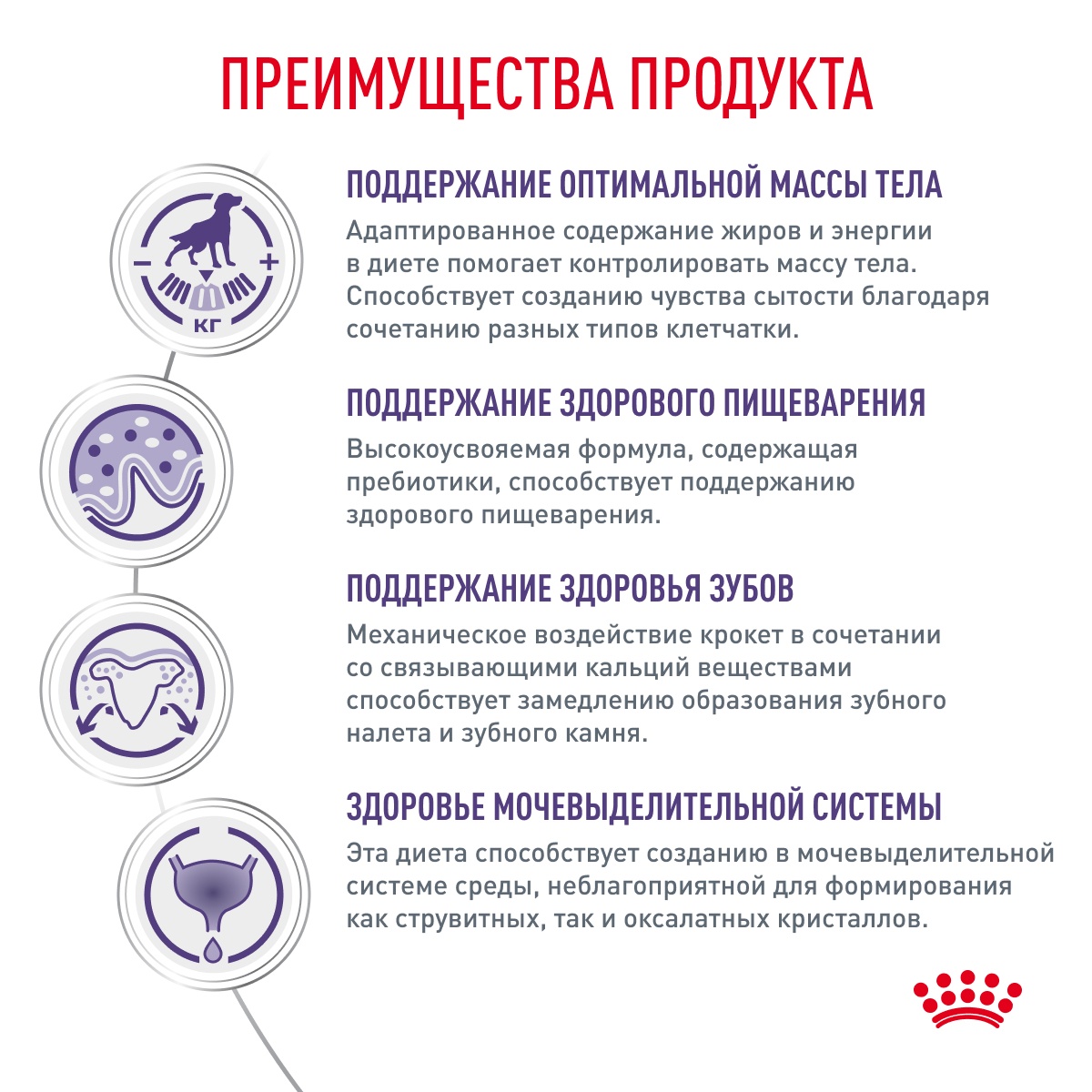 Royal Canin Neutered Adult Small Dog under 10 kg для собак 4