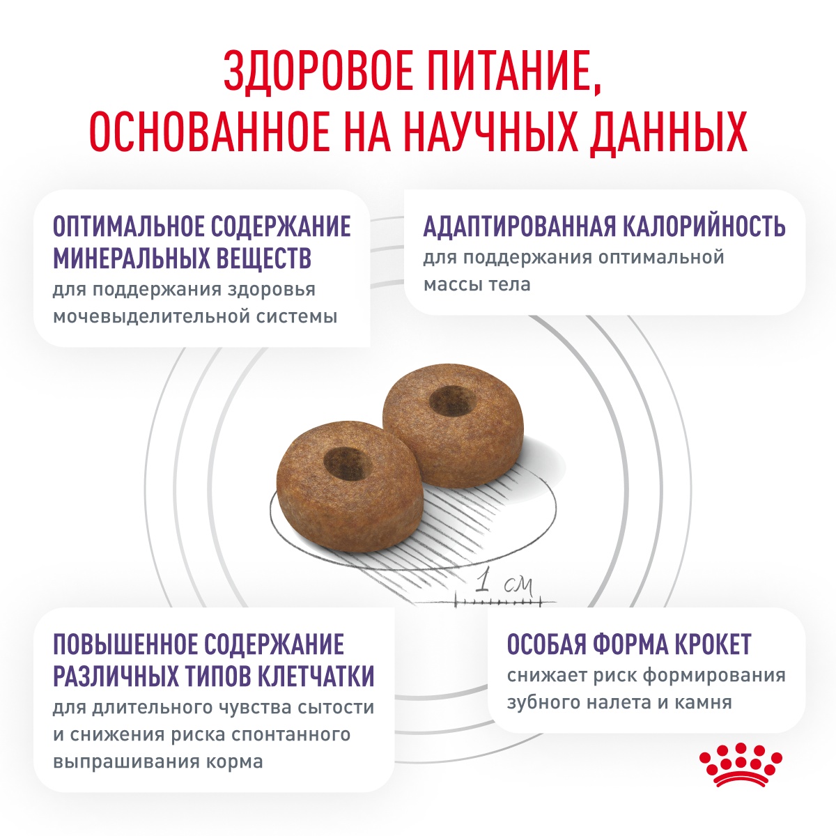 Royal Canin Neutered Adult Small Dog under 10 kg для собак 5
