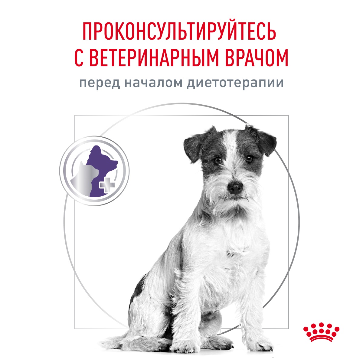 Royal Canin Neutered Adult Small Dog under 10 kg для собак 9