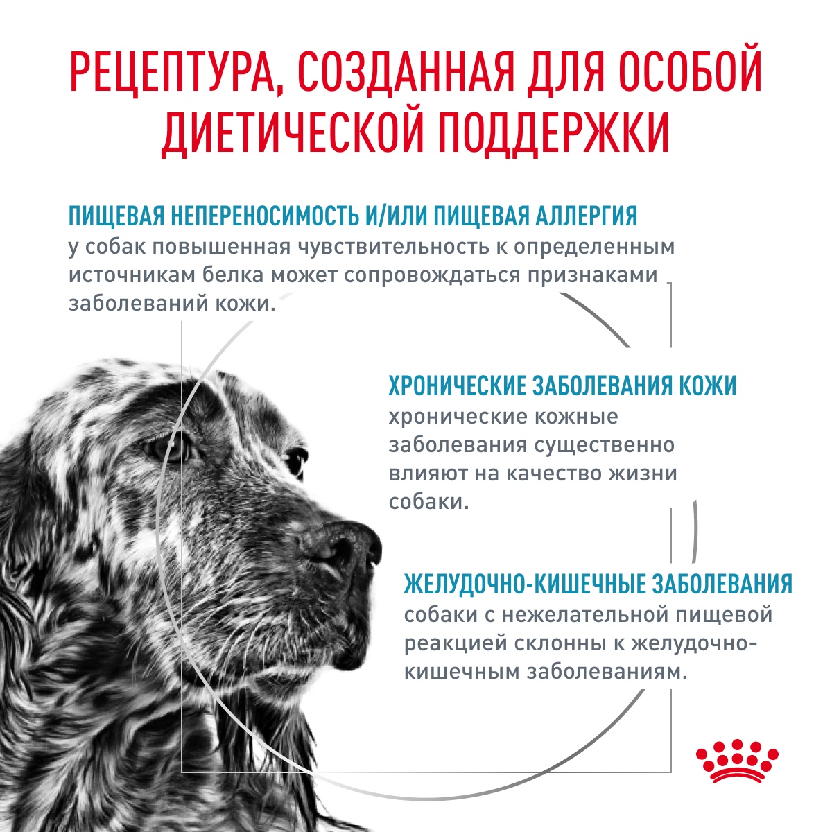 Royal Canin Sensitivity Control для собак 3