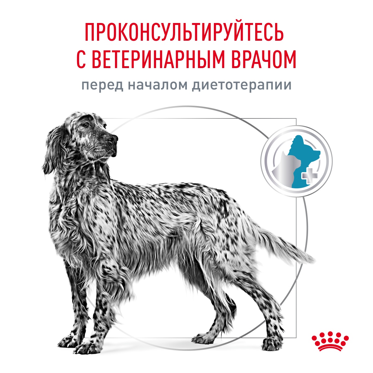 Royal Canin Sensitivity Control для собак 9