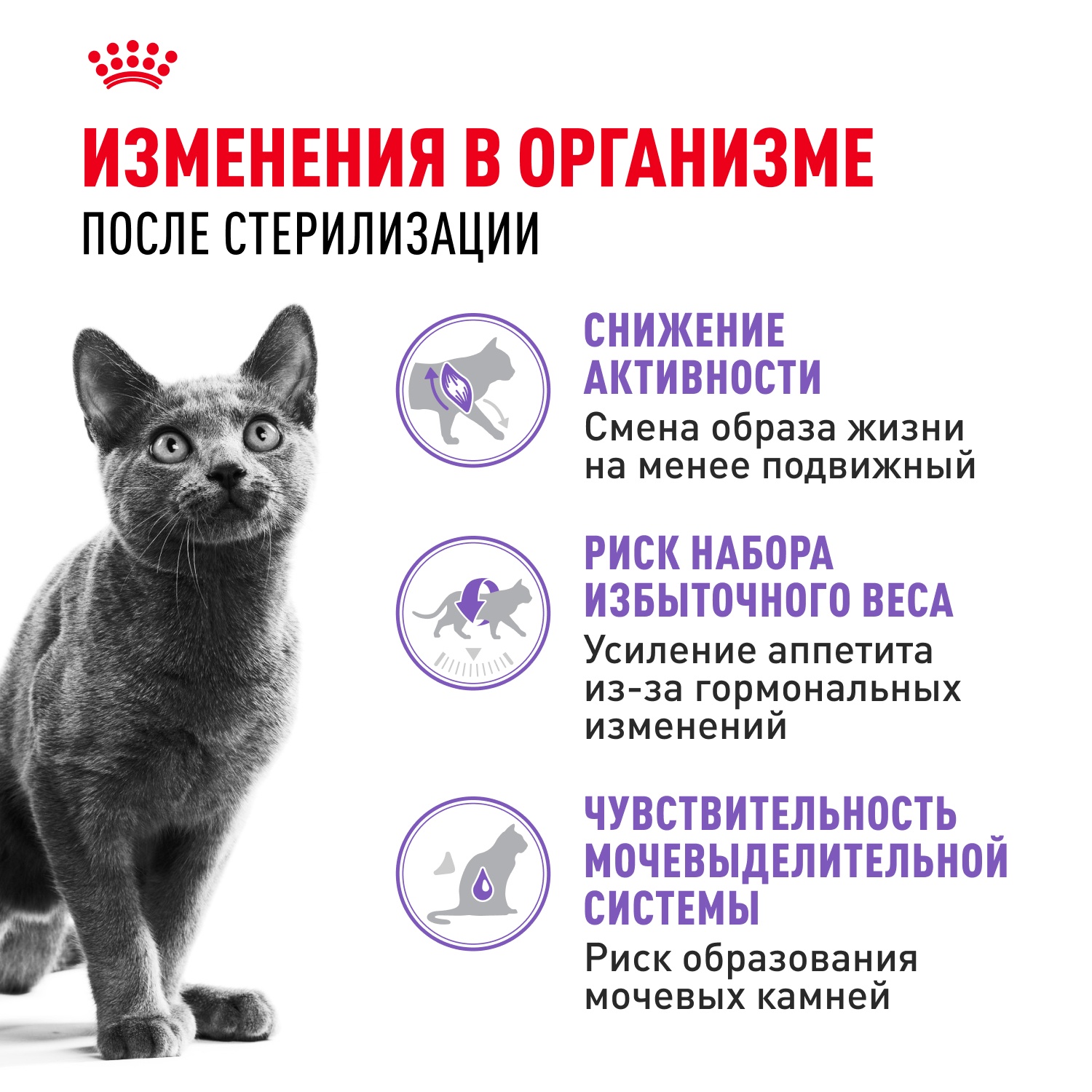 Royal Canin Sterilised для стерилизованных кошек 3