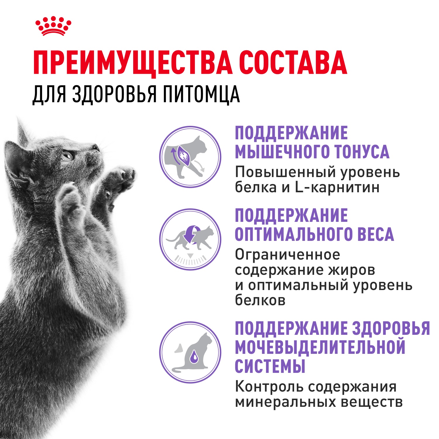 Royal Canin Sterilised для стерилизованных кошек 4