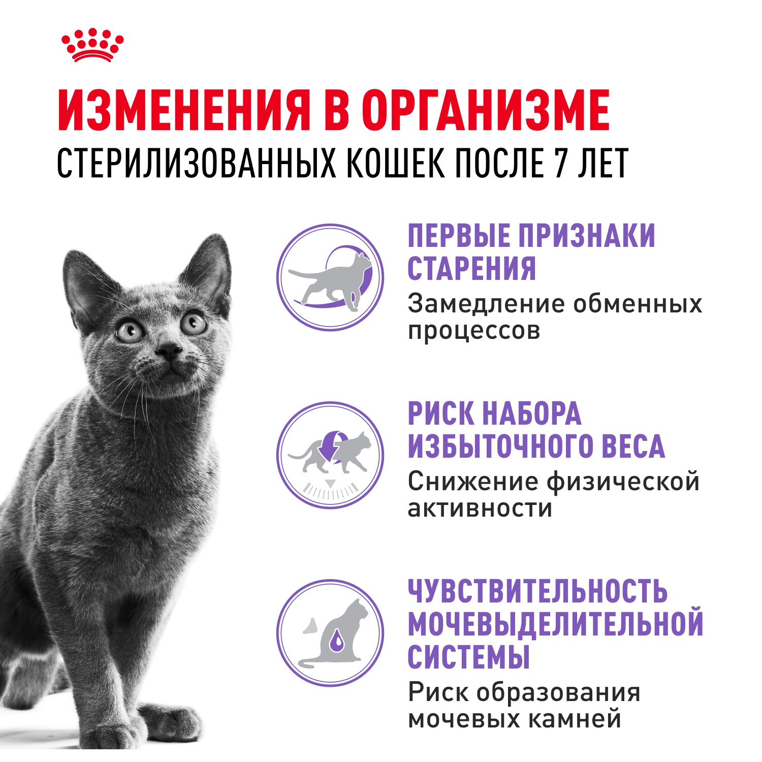 Royal Canin Sterilised 7+ для кошек 3