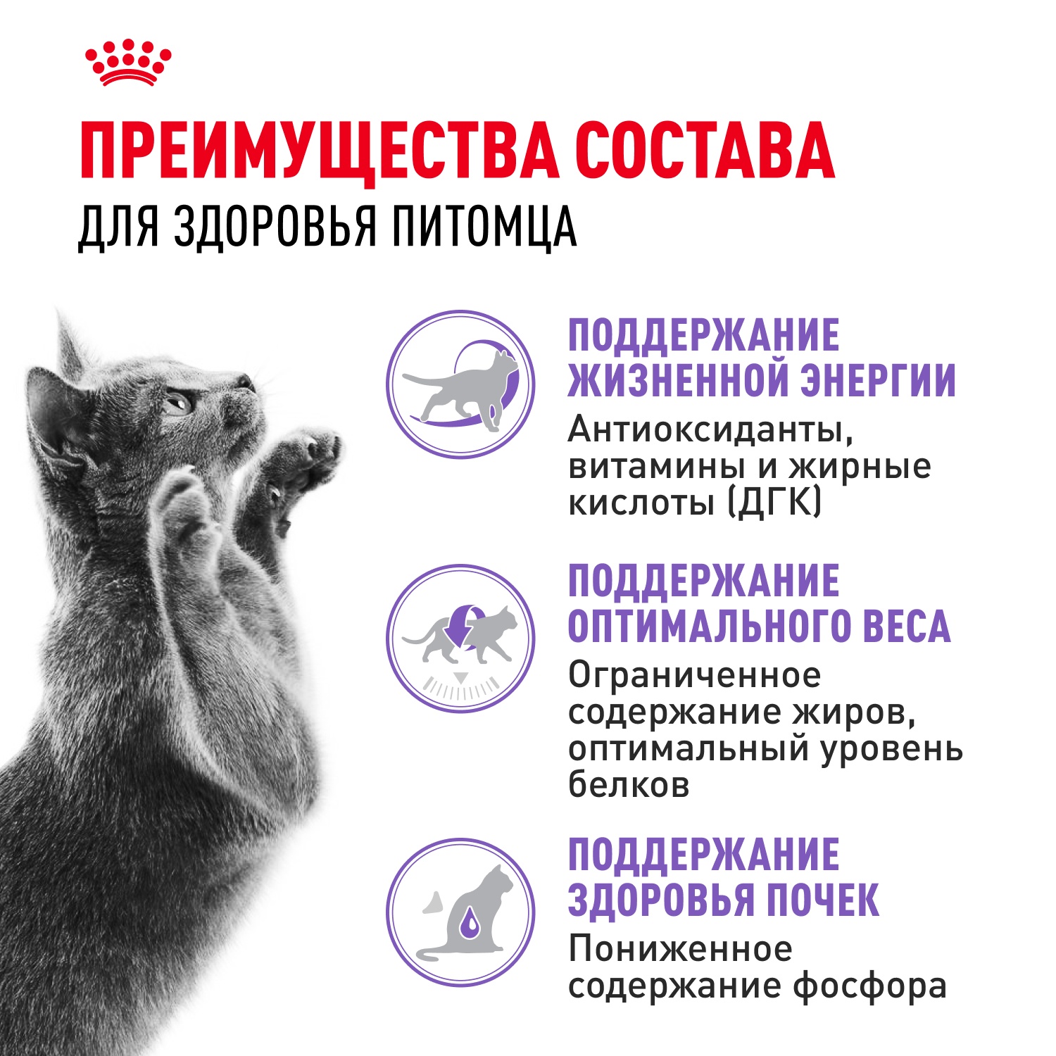 Royal Canin Sterilised 7+ для кошек 4