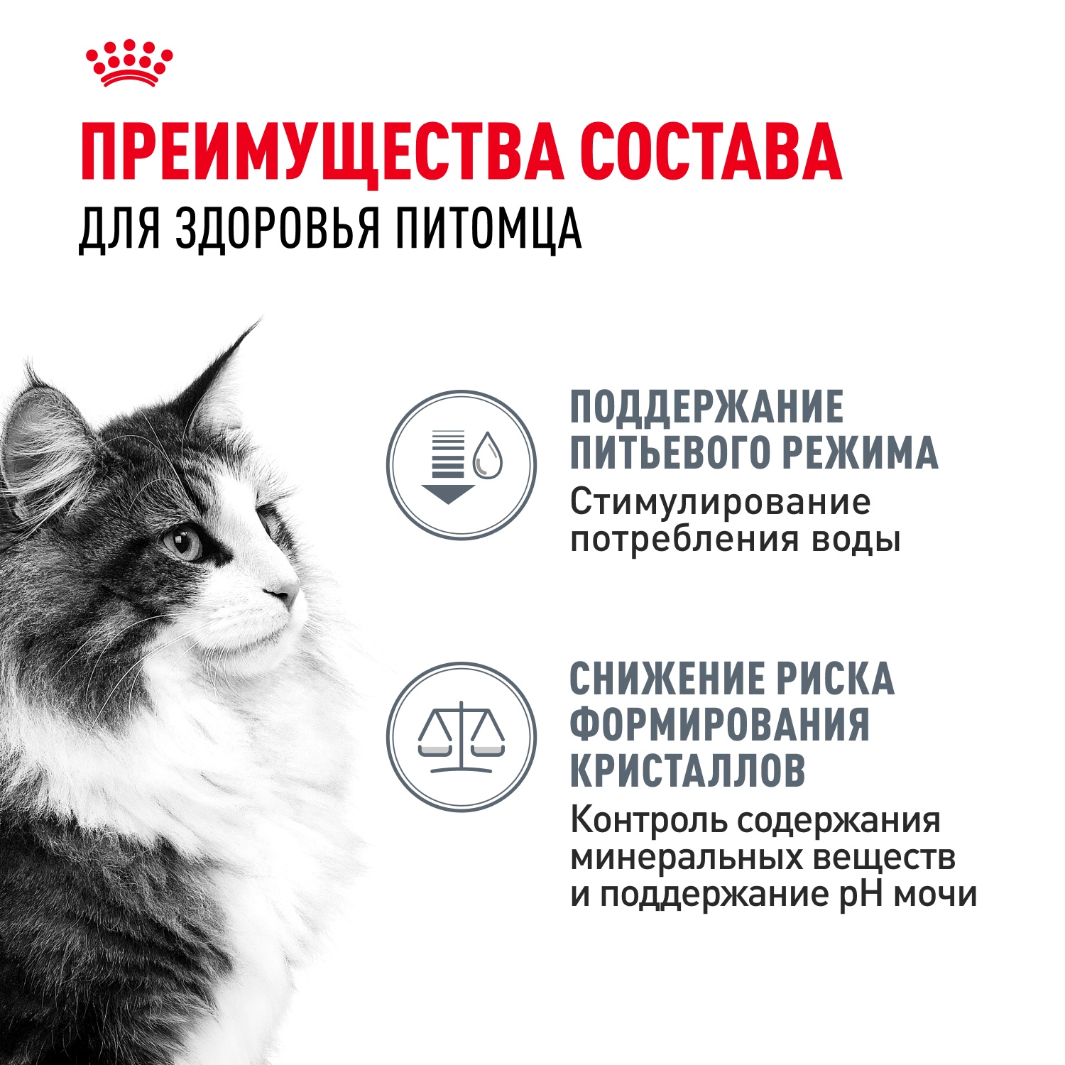 Royal Canin Urinary Care для кошек 3