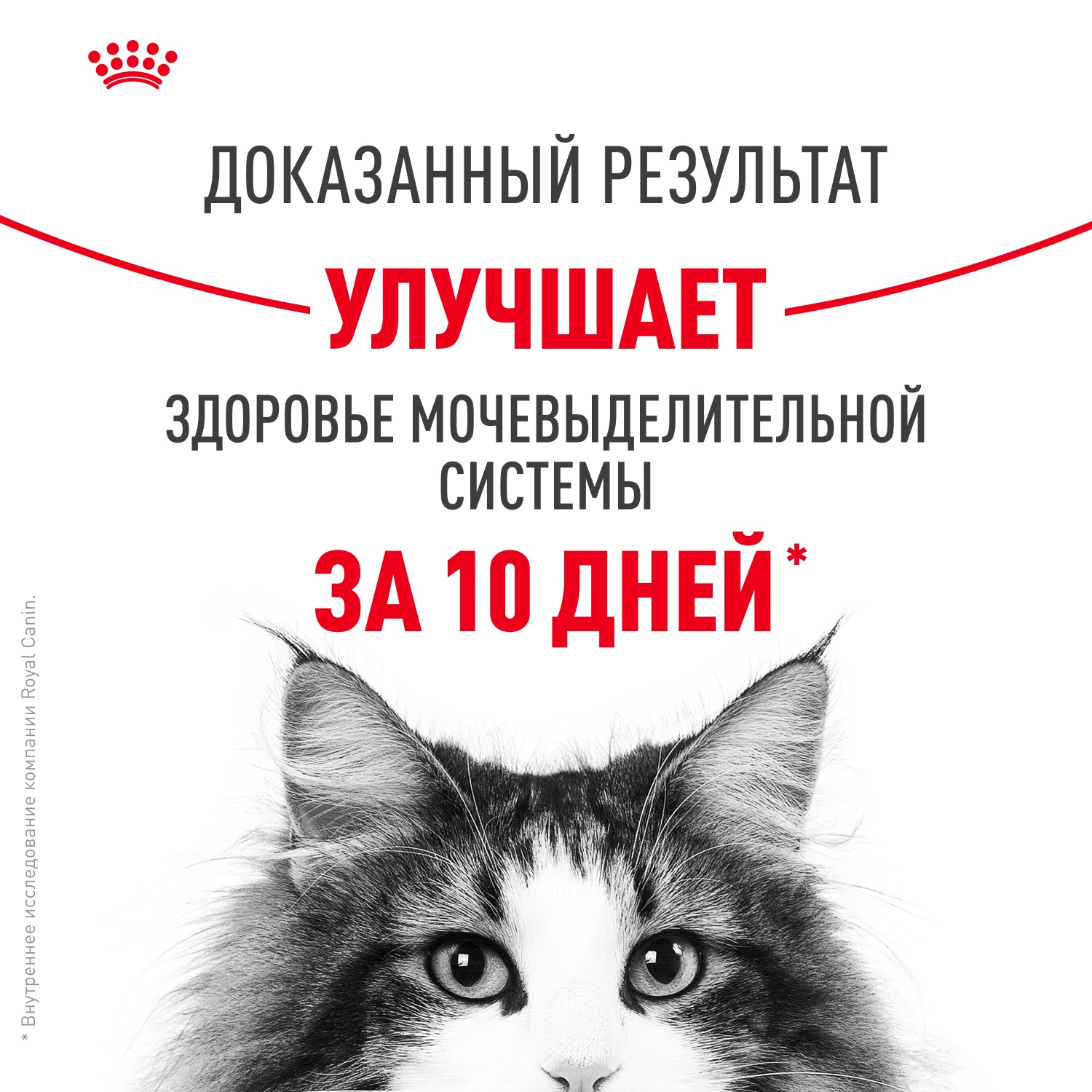 Royal Canin Urinary Care для кошек 4