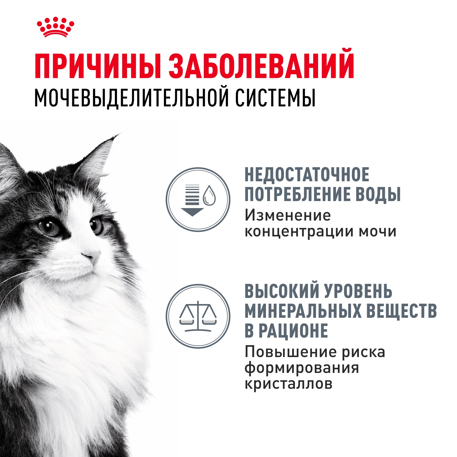 Royal Canin Urinary Care для кошек 10