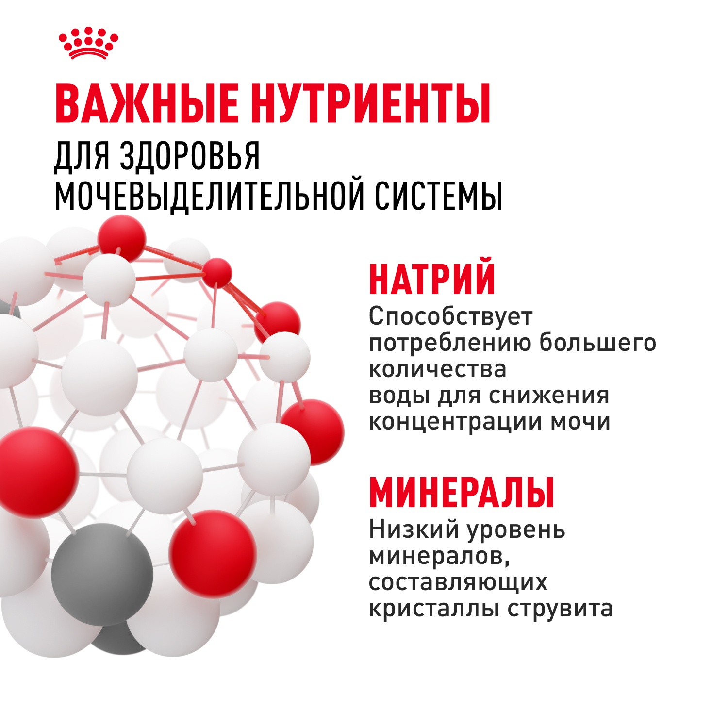 Royal Canin Urinary Care для кошек 11