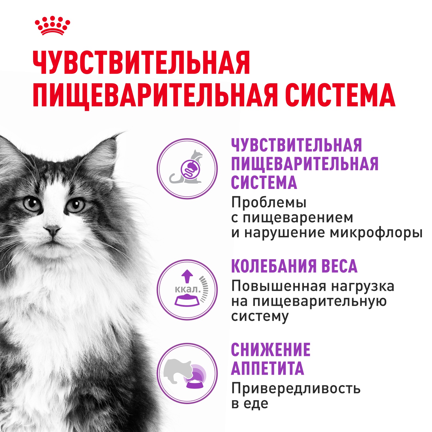 Royal Canin Sensible для кошек 3