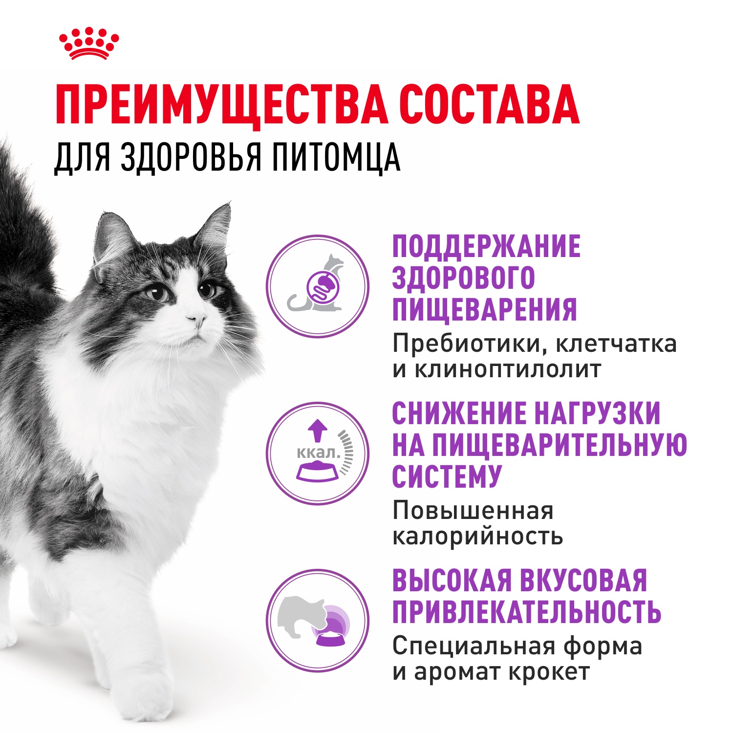 Royal Canin Sensible для кошек 4