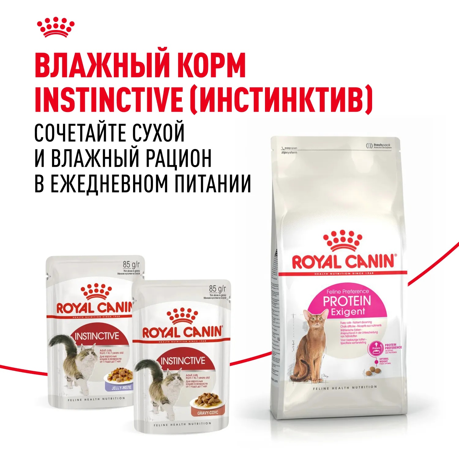 Royal Canin Protein Exigent для кошек по цене от 634 рубля