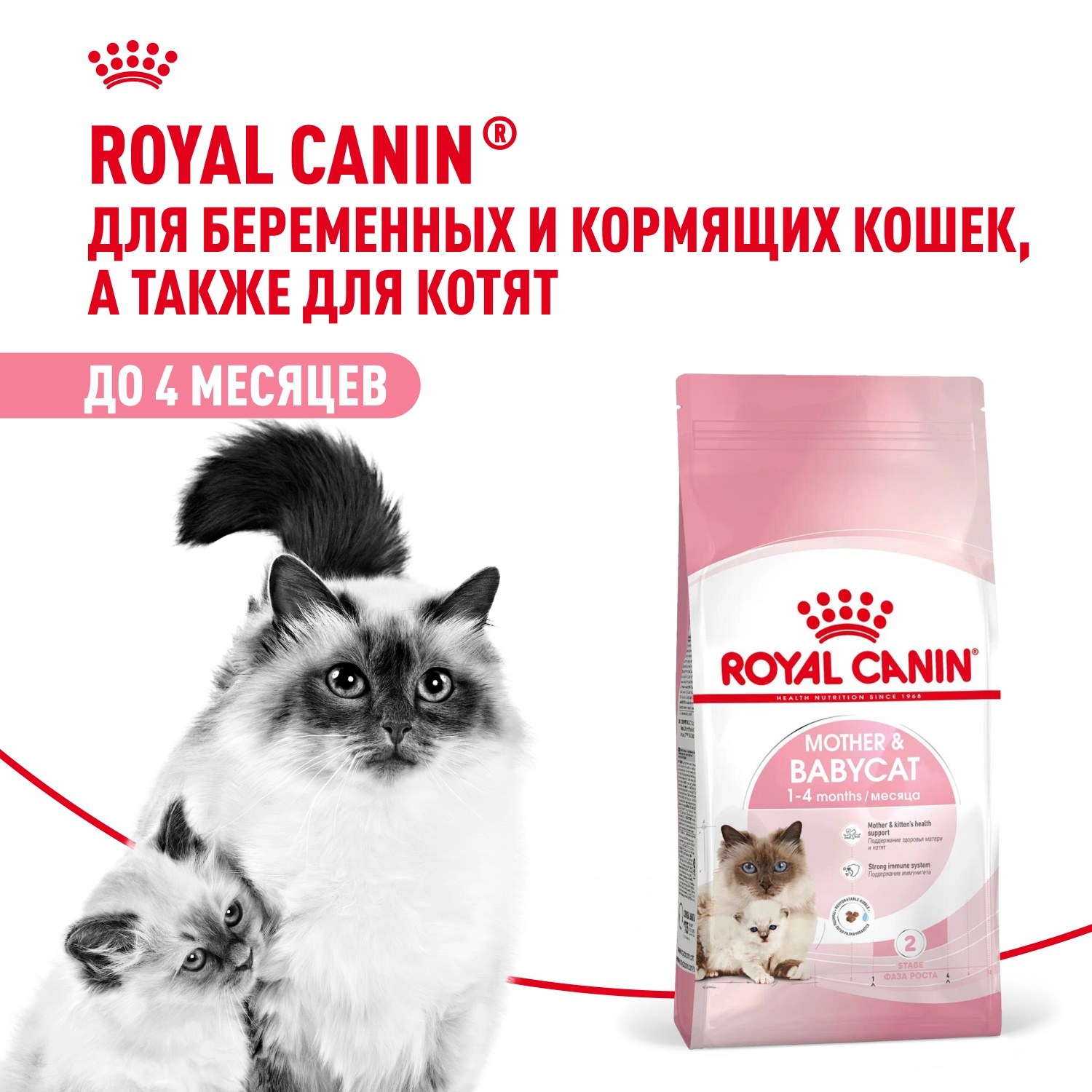 Royal Canin Mother & Babycat для котят 2