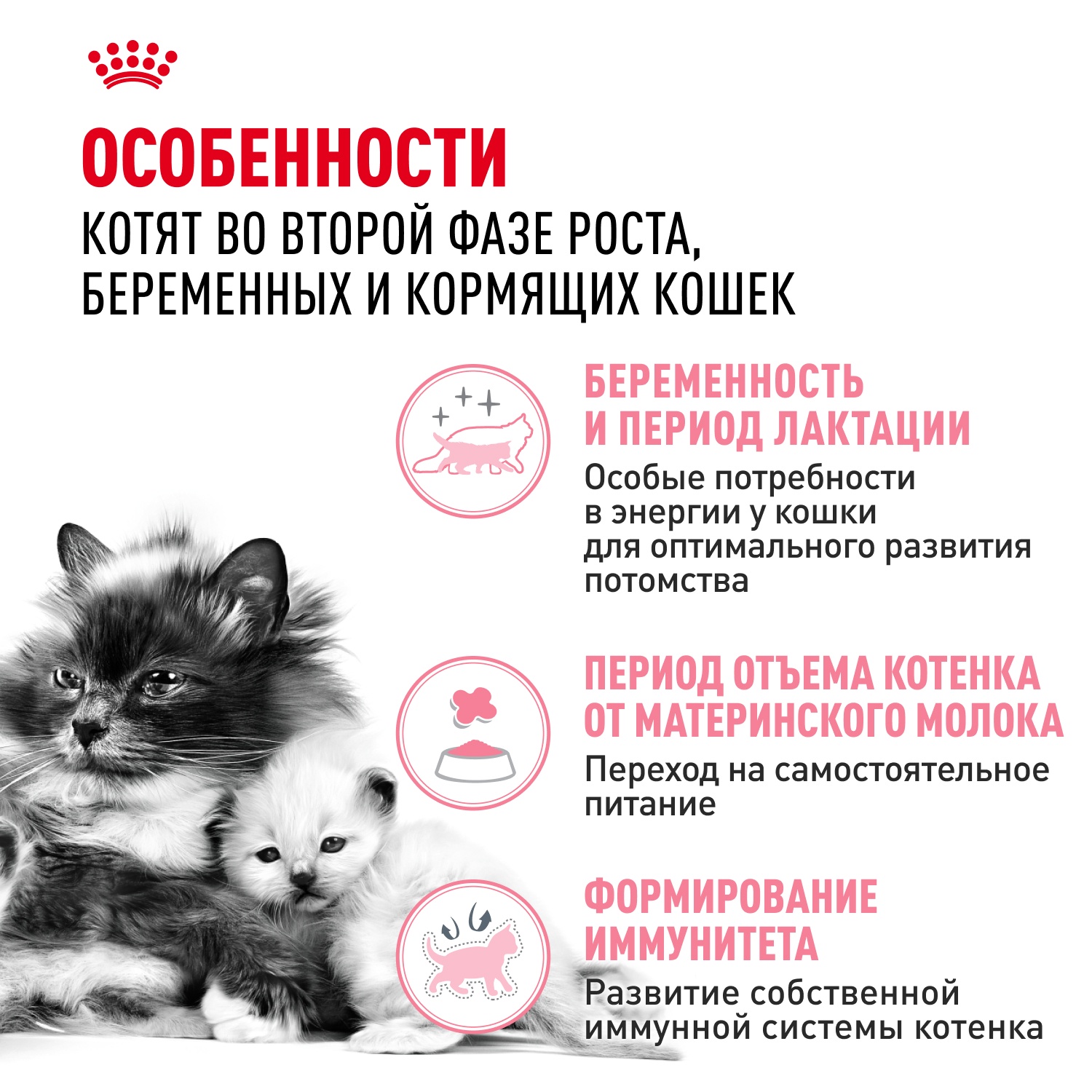 Royal Canin Mother & Babycat для котят 3