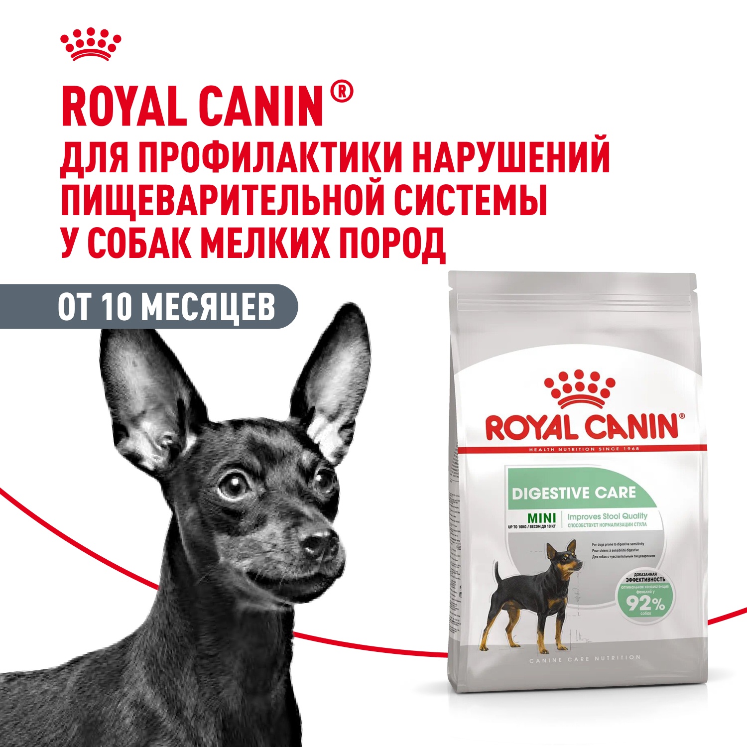 Royal Canin Mini Digestive Care для собак 2