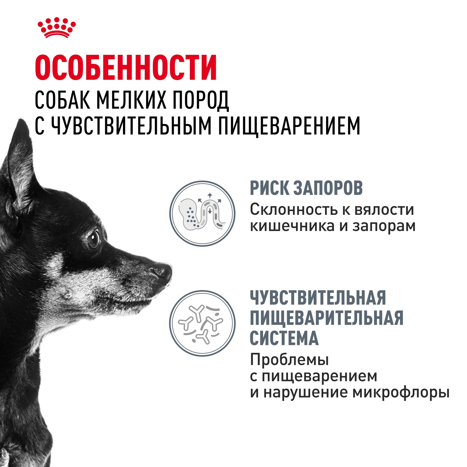 Royal Canin Mini Digestive Care для собак 3