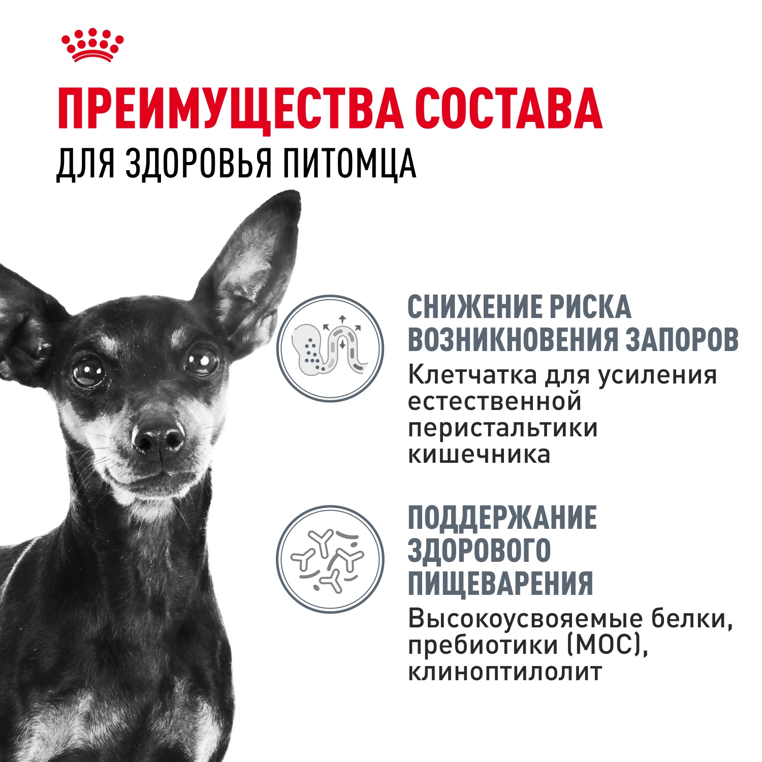 Royal Canin Mini Digestive Care для собак 4