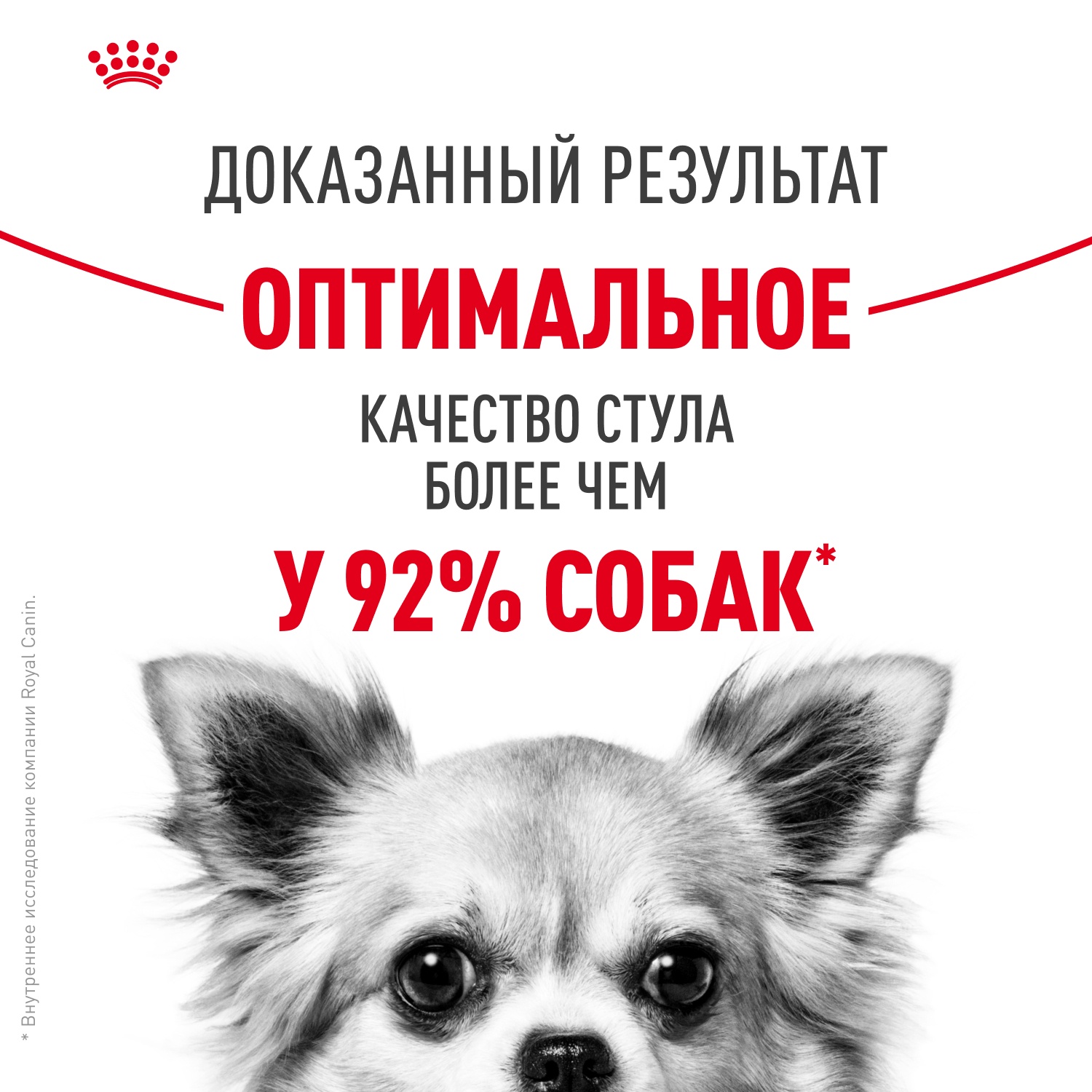 Royal Canin Mini Digestive Care для собак 5