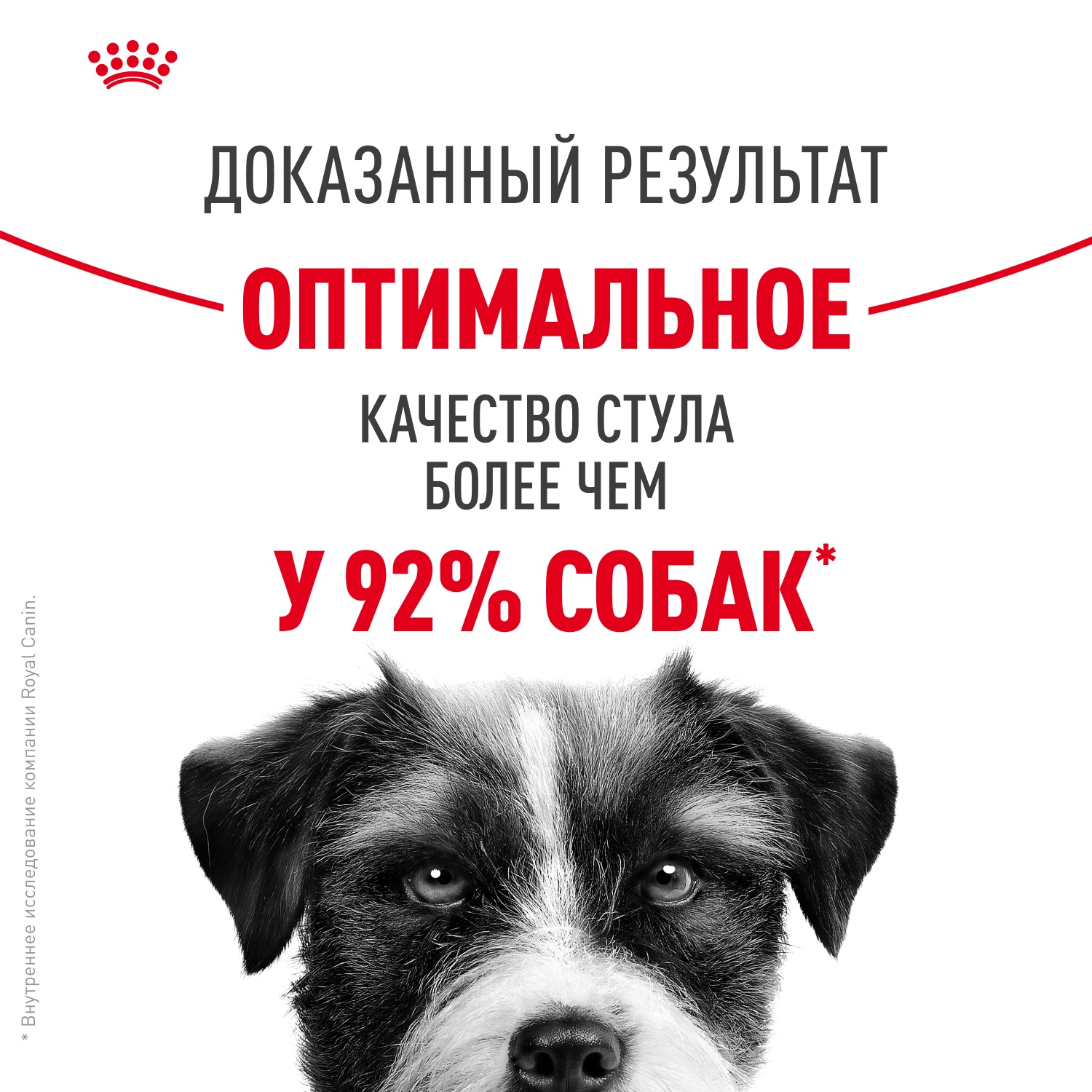 Royal Canin Mini Digestive Care для собак 6