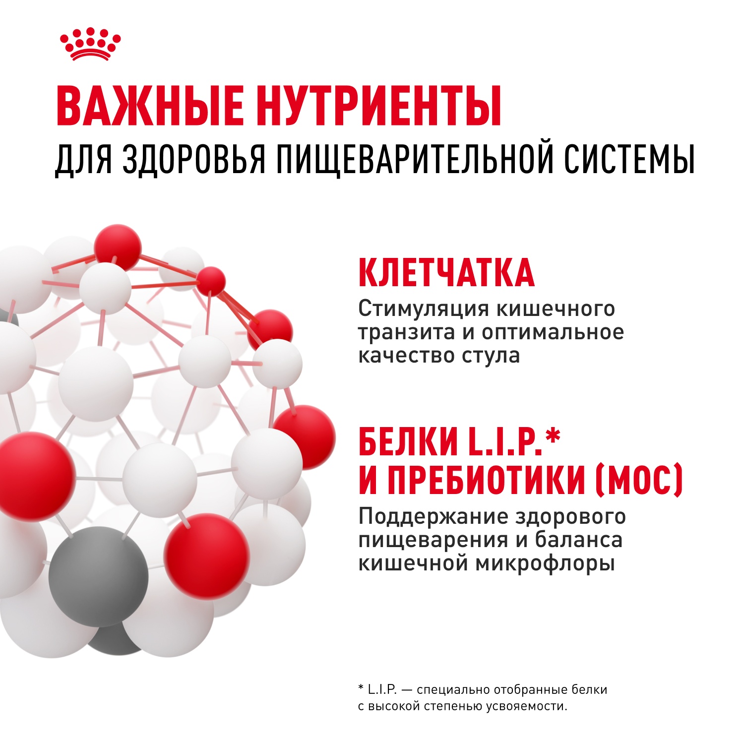 Royal Canin Mini Digestive Care для собак 8