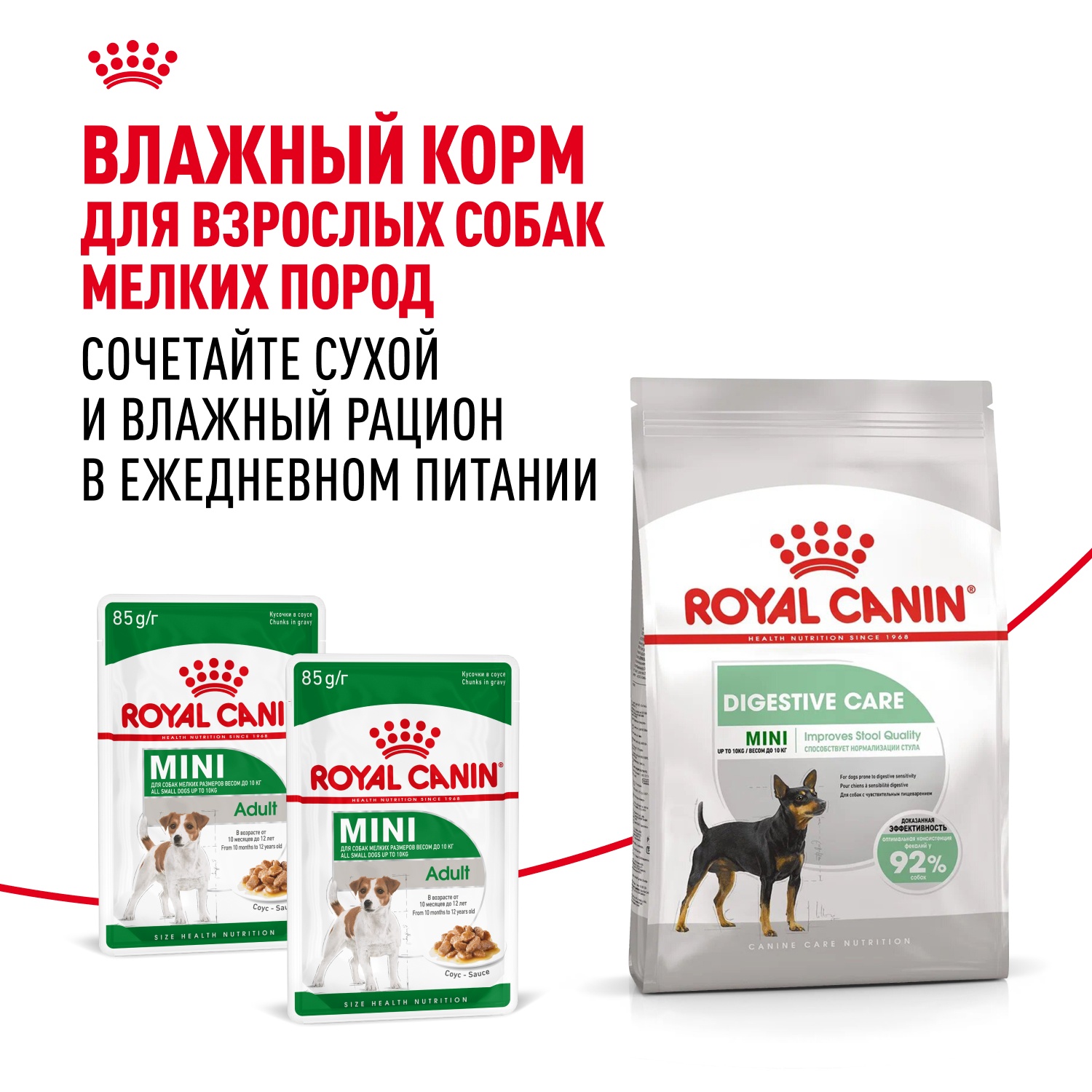 Royal Canin Mini Digestive Care для собак 11