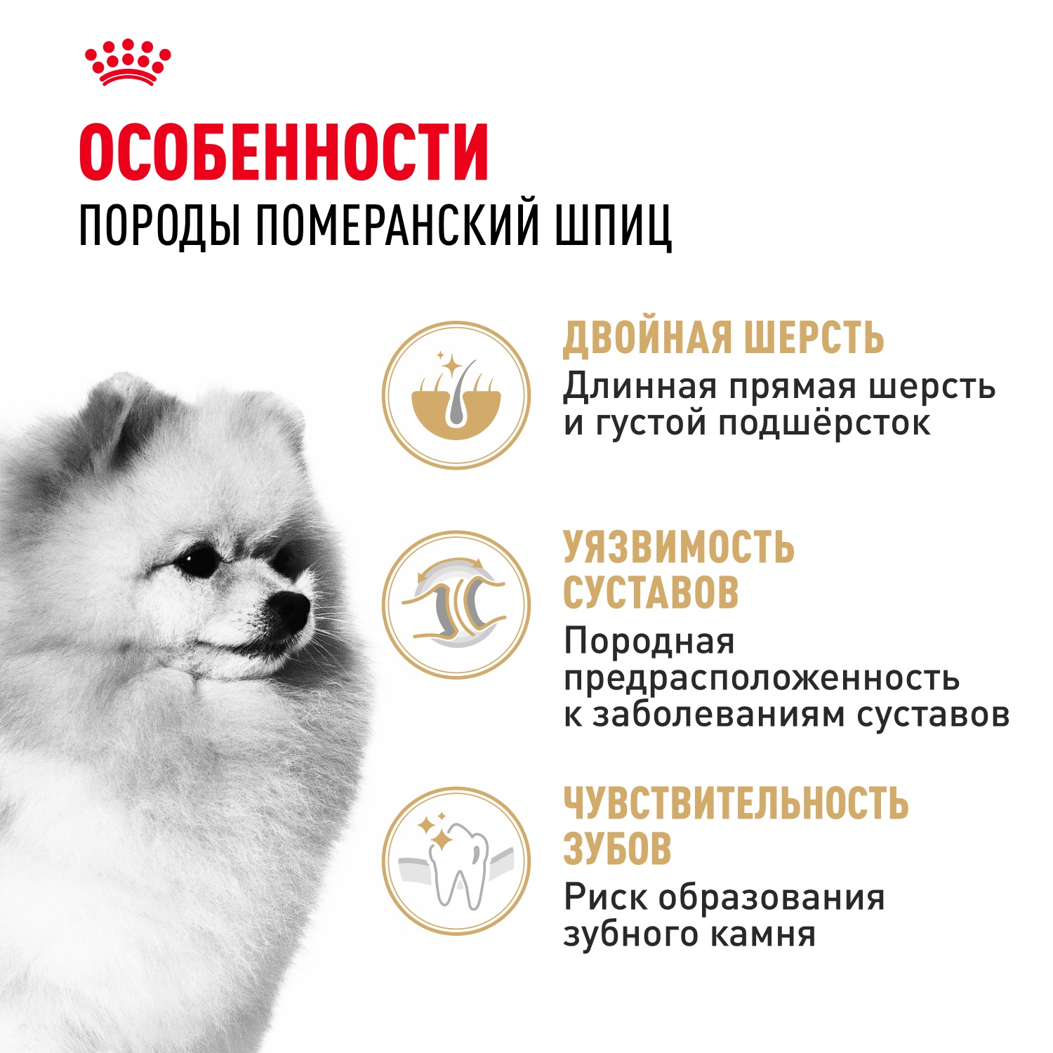 Royal Canin Pomeranian Adult для собак 3