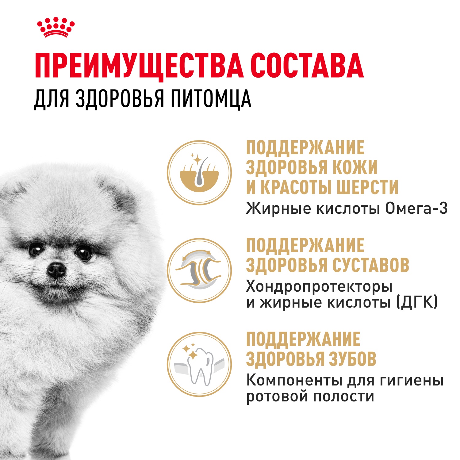 Royal Canin Pomeranian Adult для собак 4