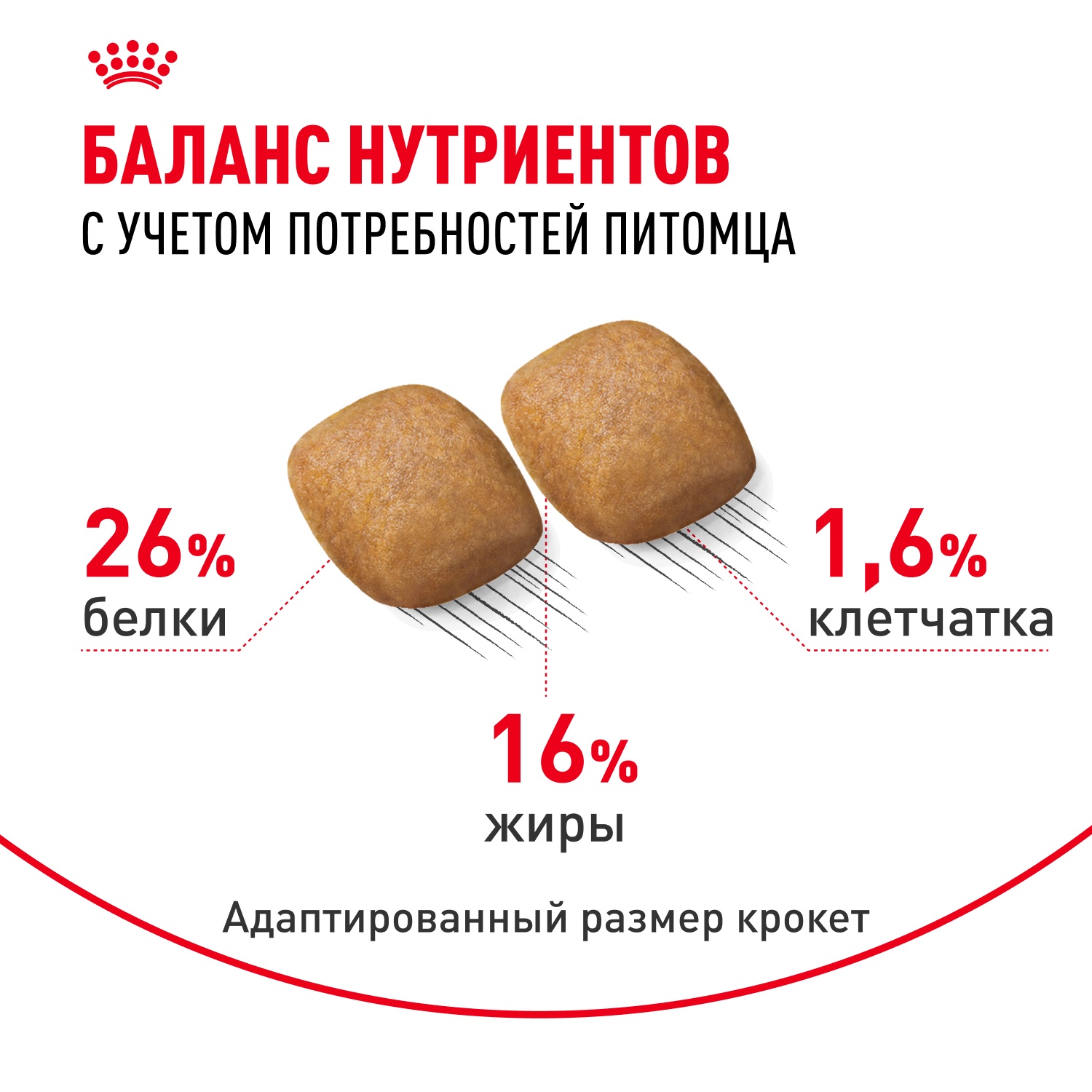 Royal Canin Pomeranian Adult для собак 5