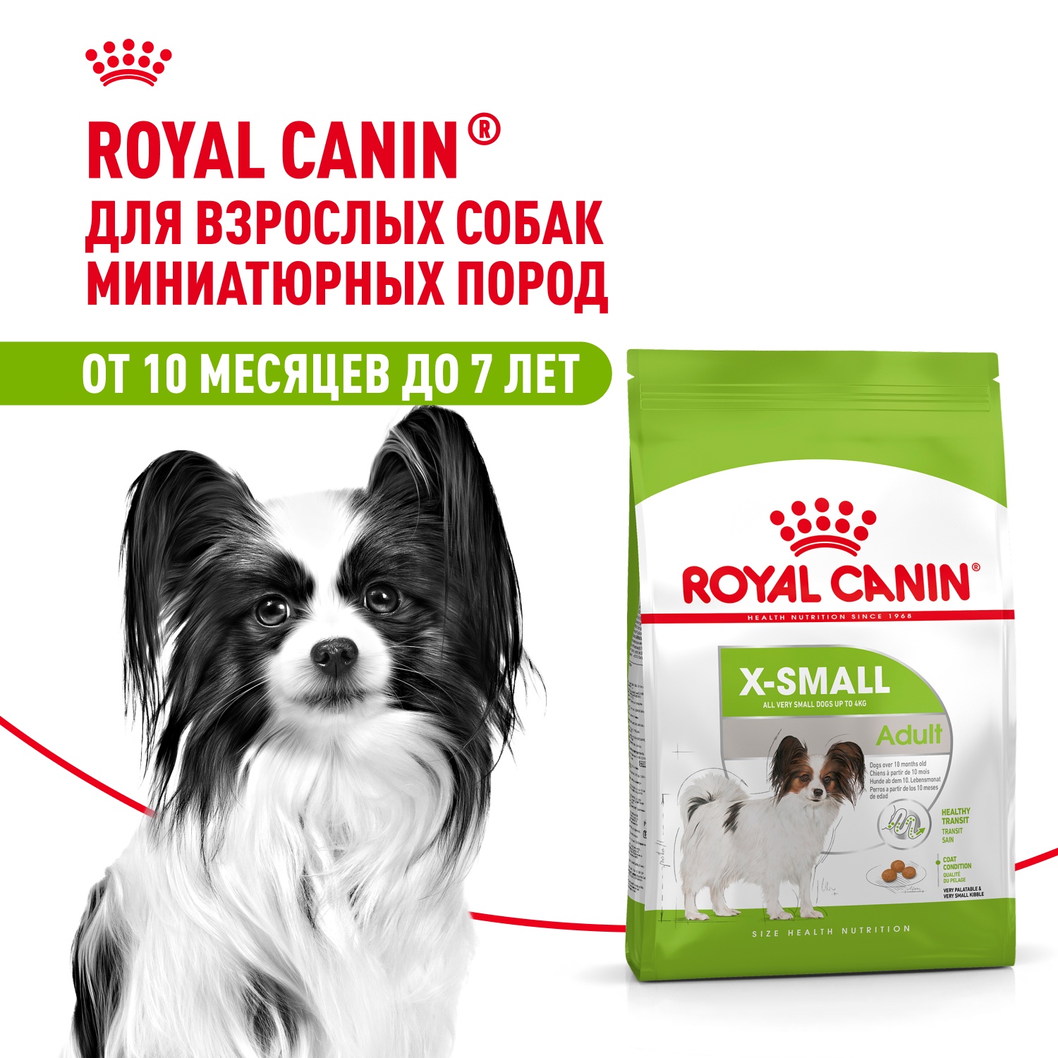Royal Canin X-Small Adult для собак 2