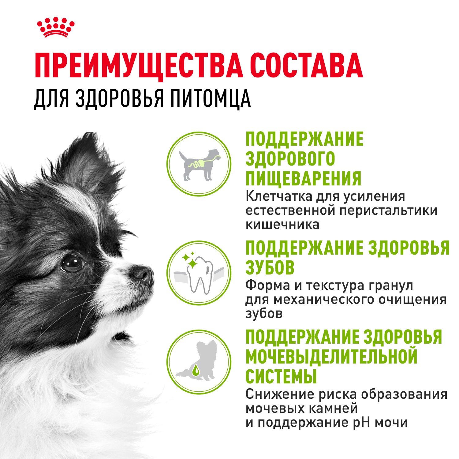 Royal Canin X-Small Adult для собак 4