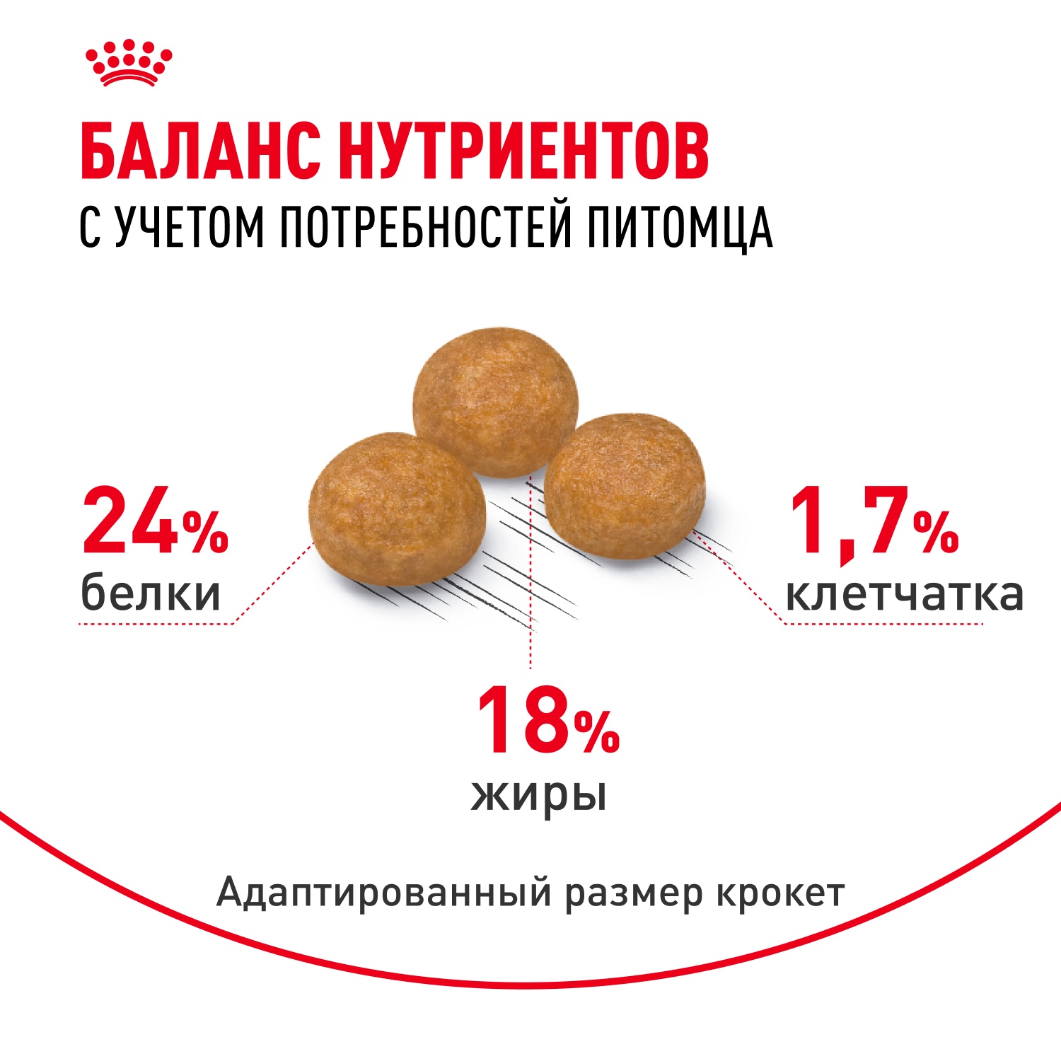 Royal Canin X-Small Adult для собак 5