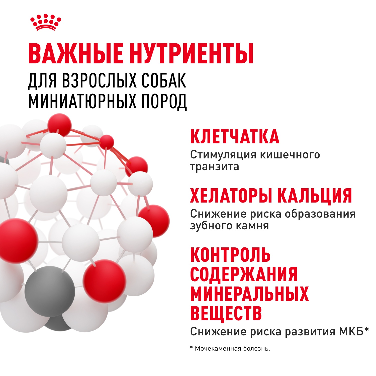 Royal Canin X-Small Adult для собак 6