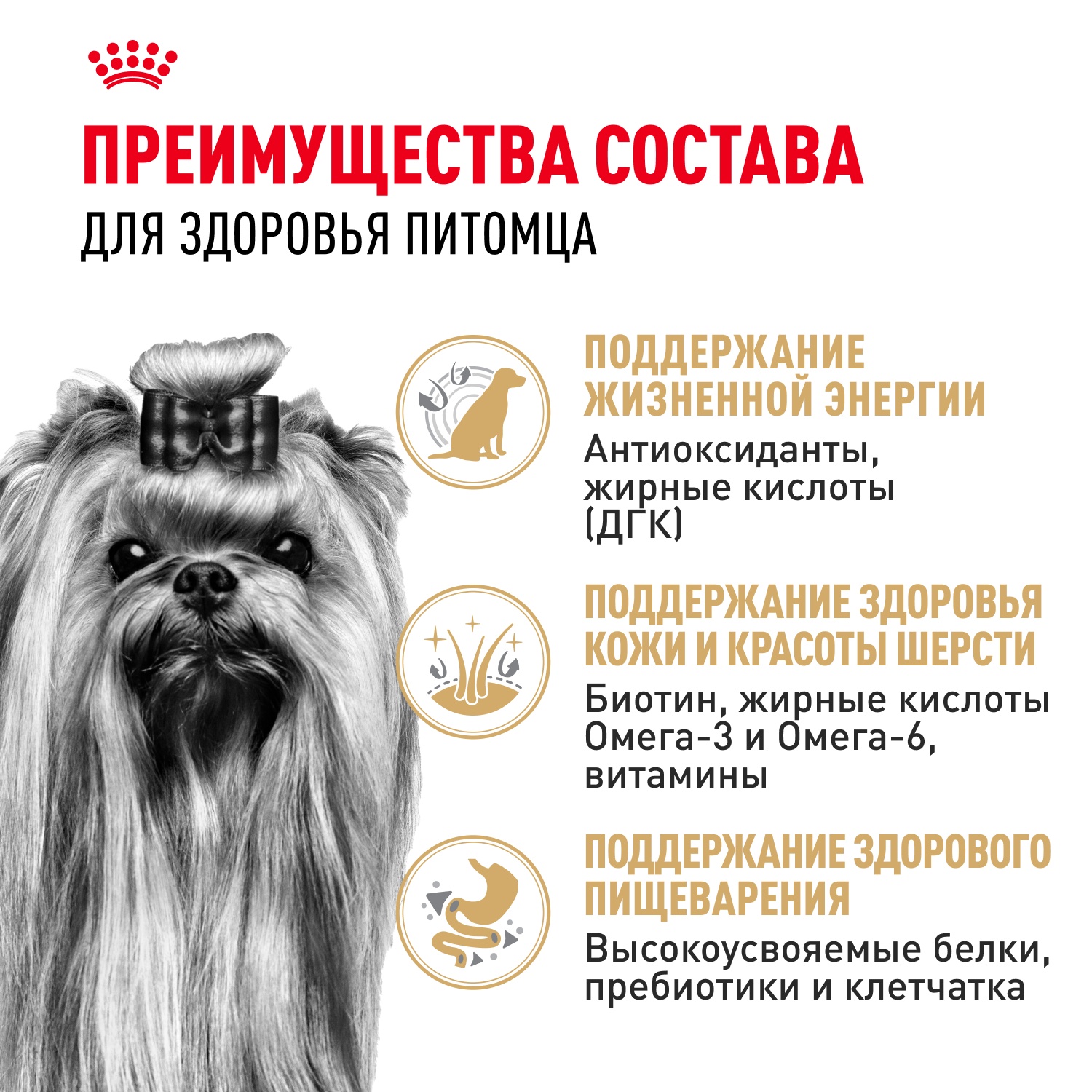 Royal Canin Yorkshire Terrier Adult 8+ для собак 3
