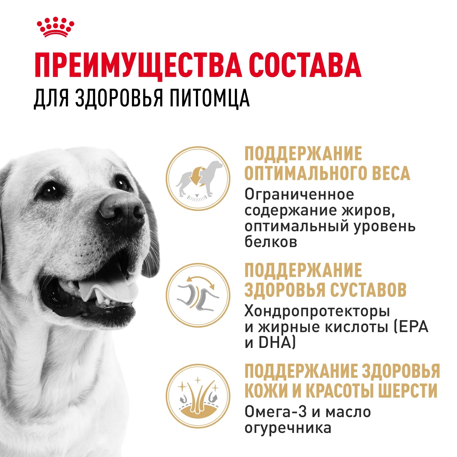 Royal Canin Labrador Retriever Adult для собак 4