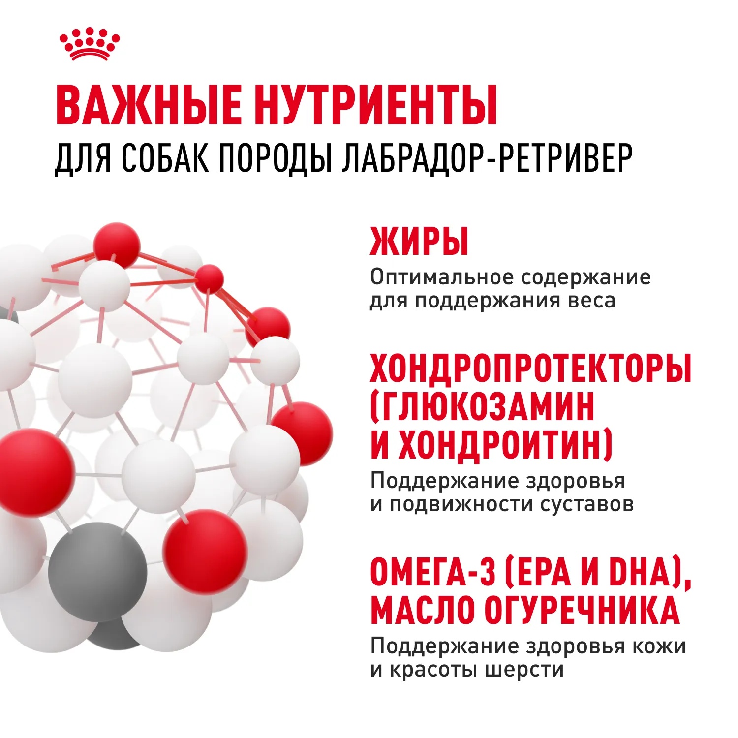 Royal Canin Labrador Retriever Adult для собак 6