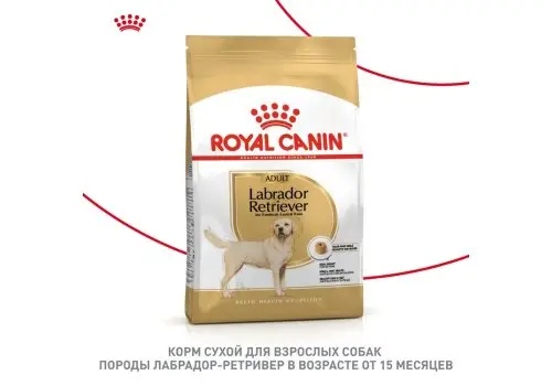 Royal Canin Labrador Retriever Adult для собак 11