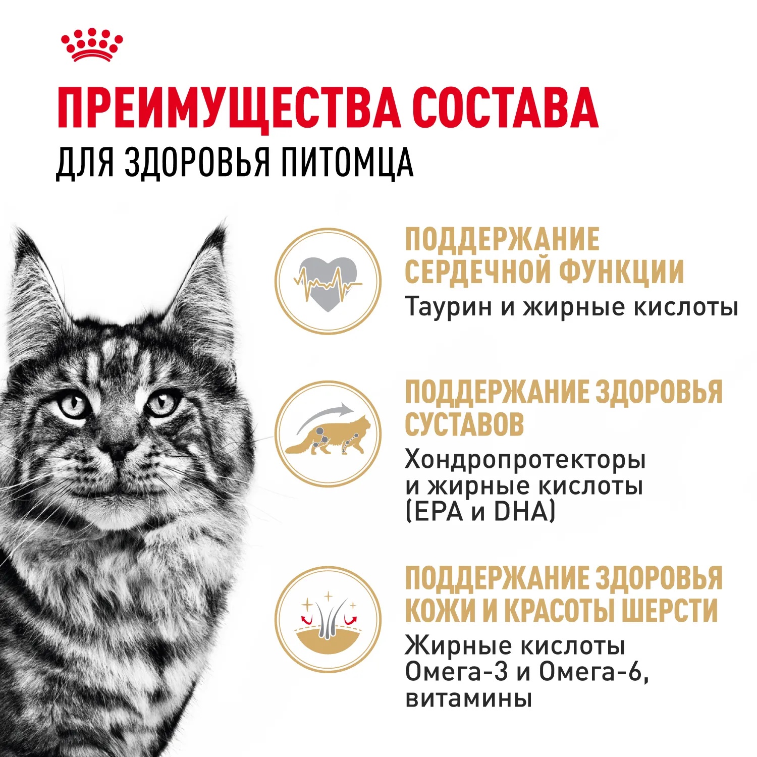 Royal Canin Maine Coon в соусе пауч для кошек 85 г 4