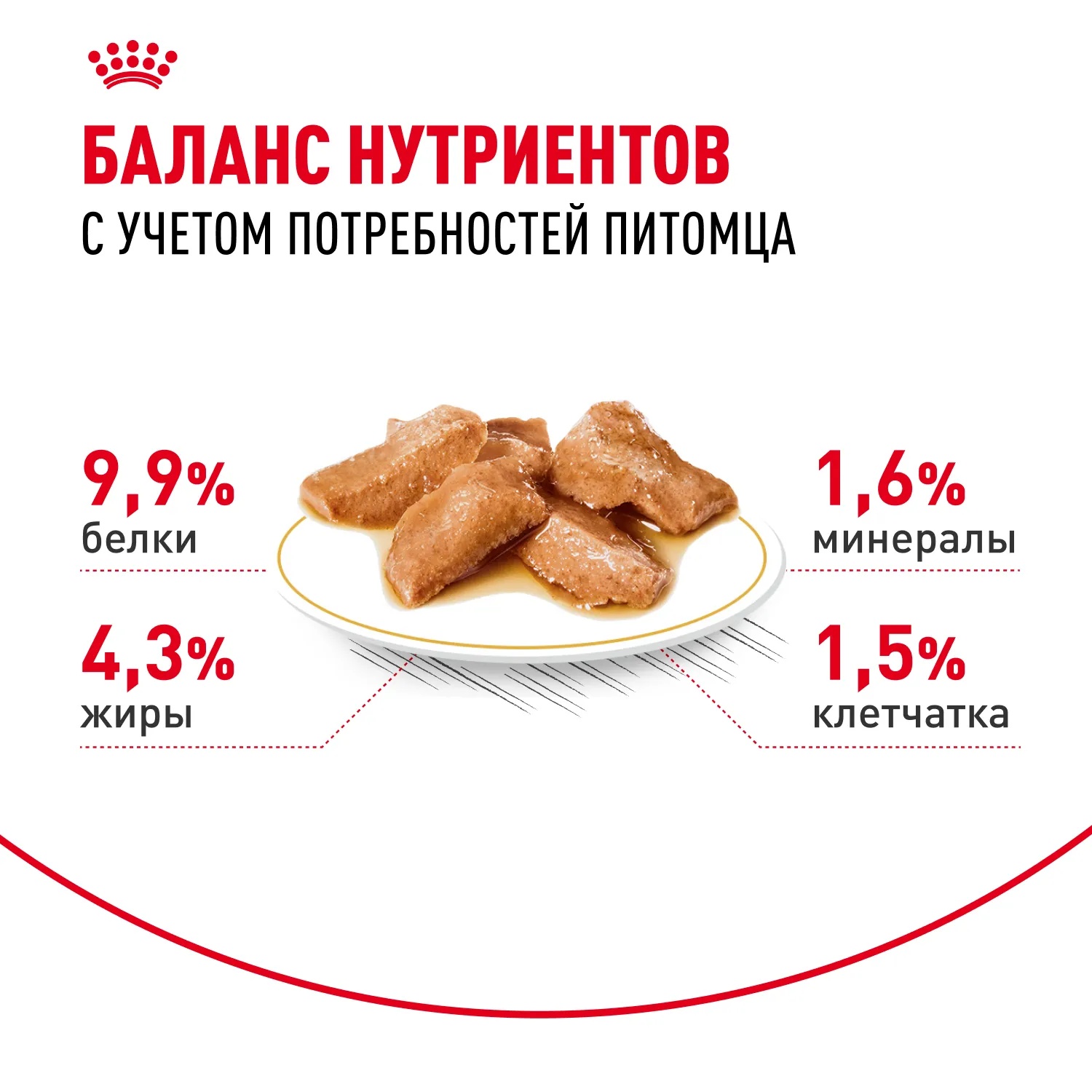 Royal Canin Maine Coon в соусе пауч для кошек 85 г 5