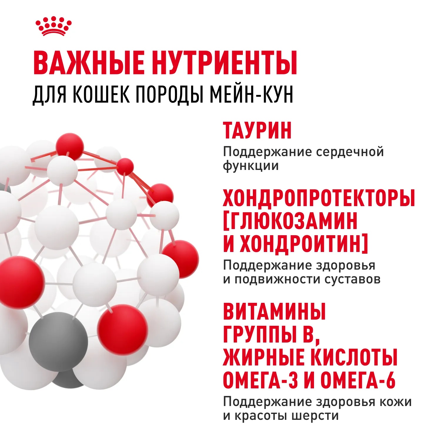 Royal Canin Maine Coon в соусе пауч для кошек 85 г 6