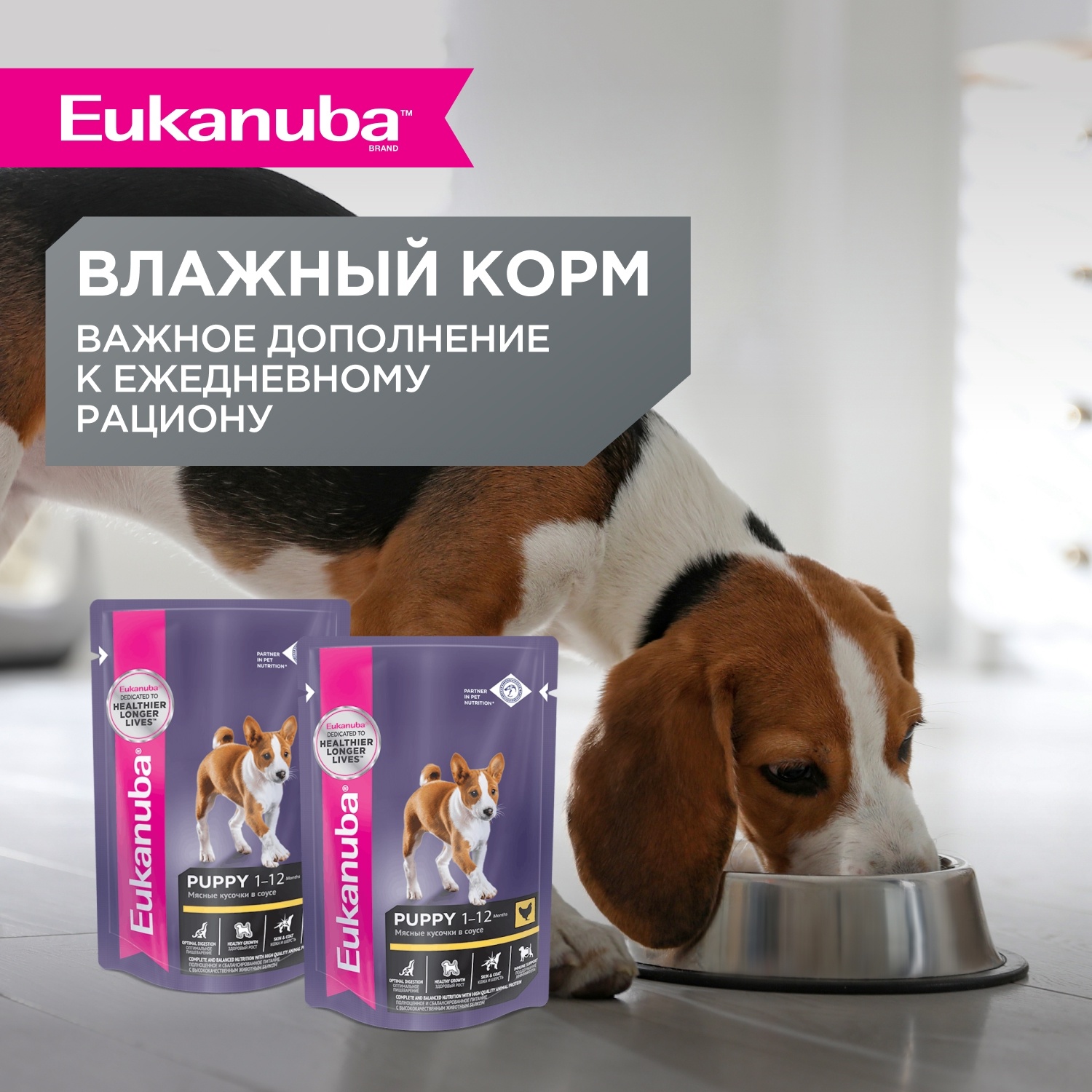 Eukanuba Puppy Small Breed Курица 7