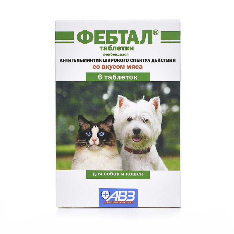 Фебтал табл антигельминтик для кошек и собак 6 шт - купить в Новосибирске  по цене от 293 рубля в интернет-магазине Мокрый Нос с доставкой